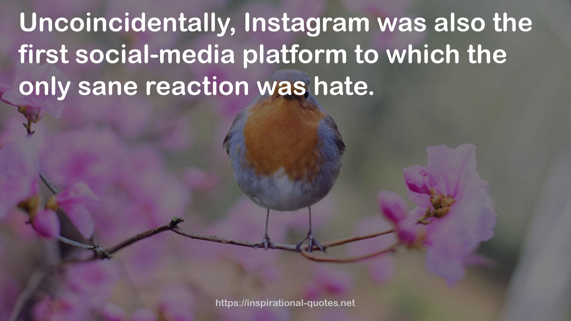 the first social-media platform  QUOTES