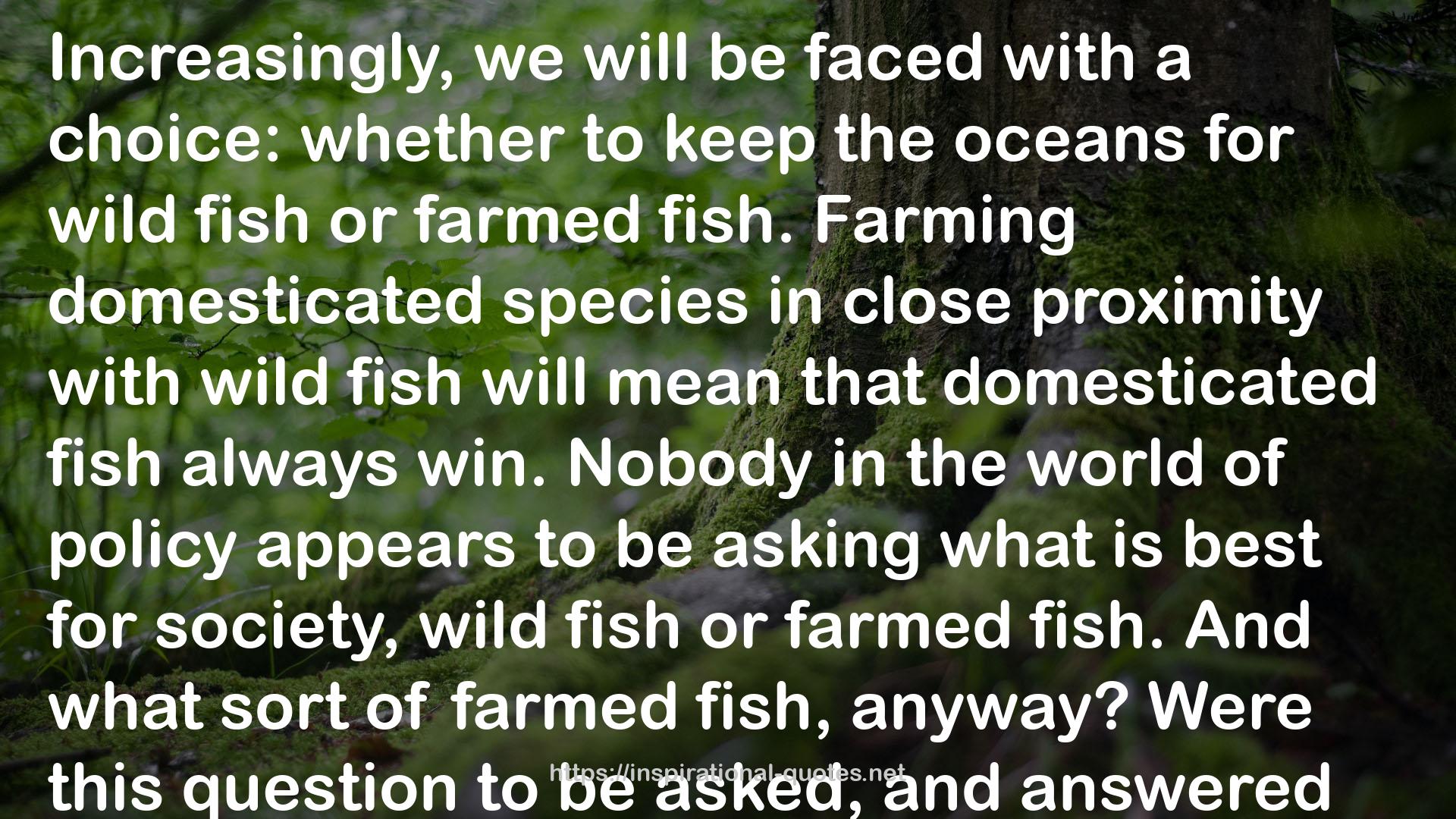 wild fish  QUOTES