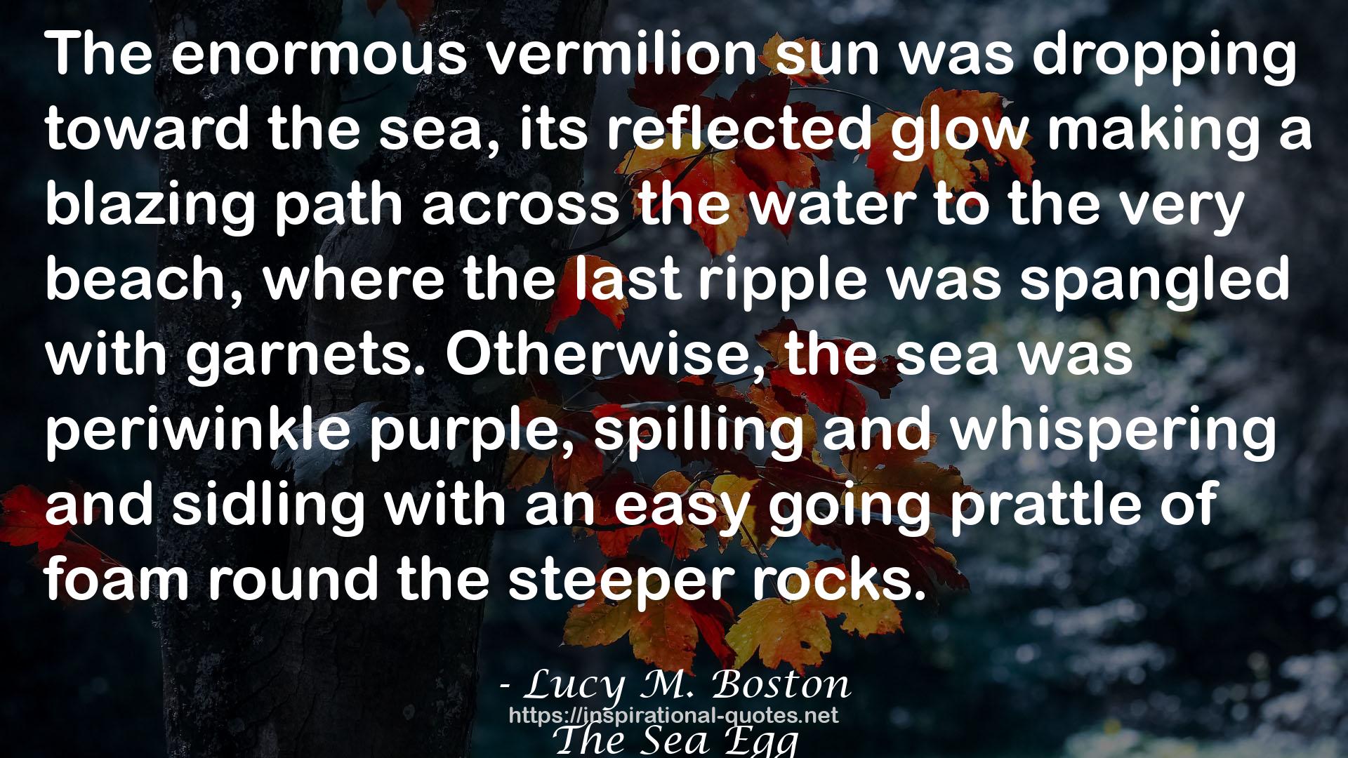 The Sea Egg QUOTES