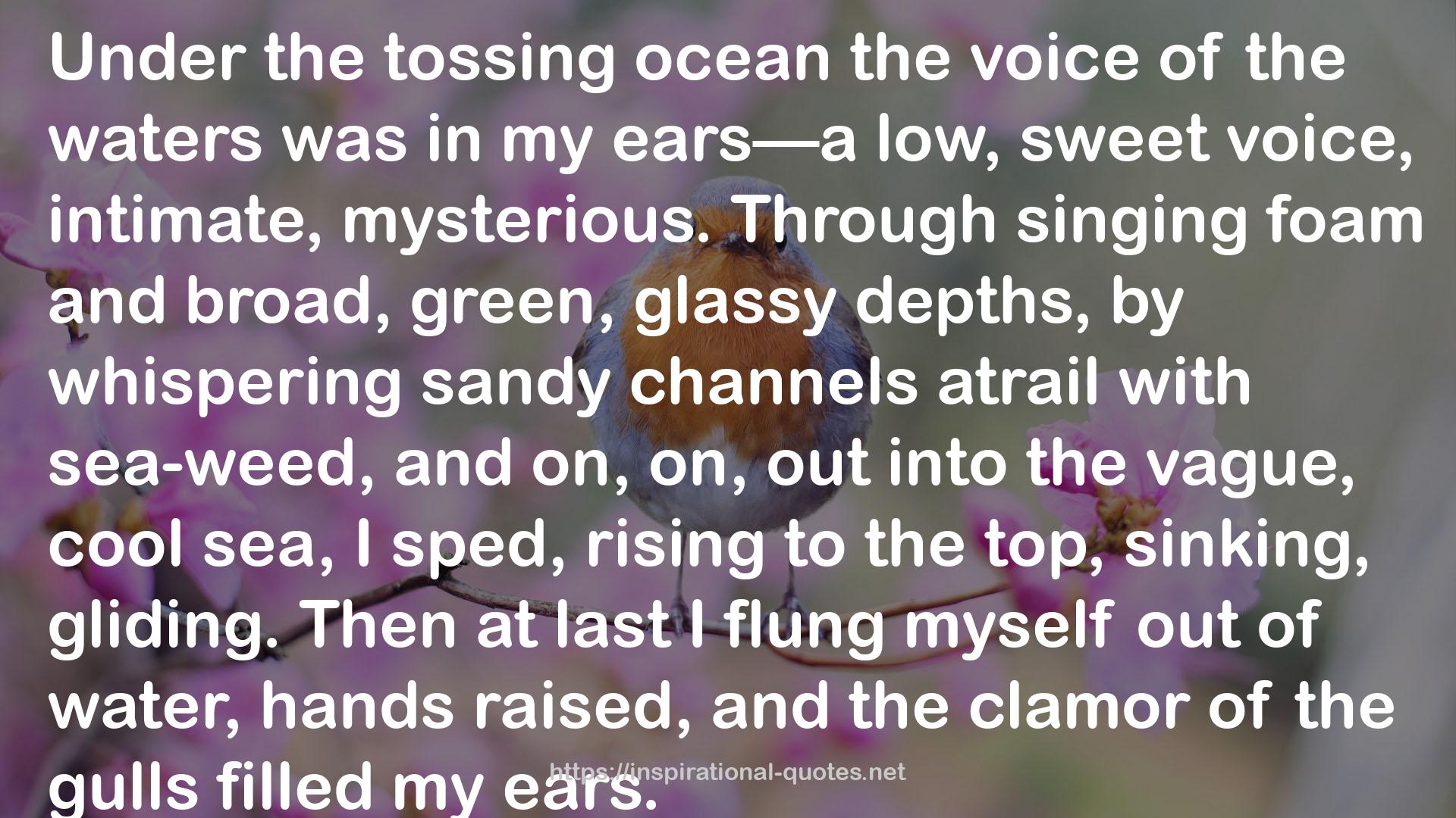 the tossing ocean  QUOTES