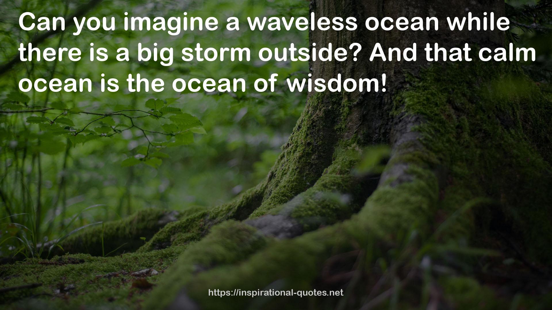 a waveless ocean  QUOTES