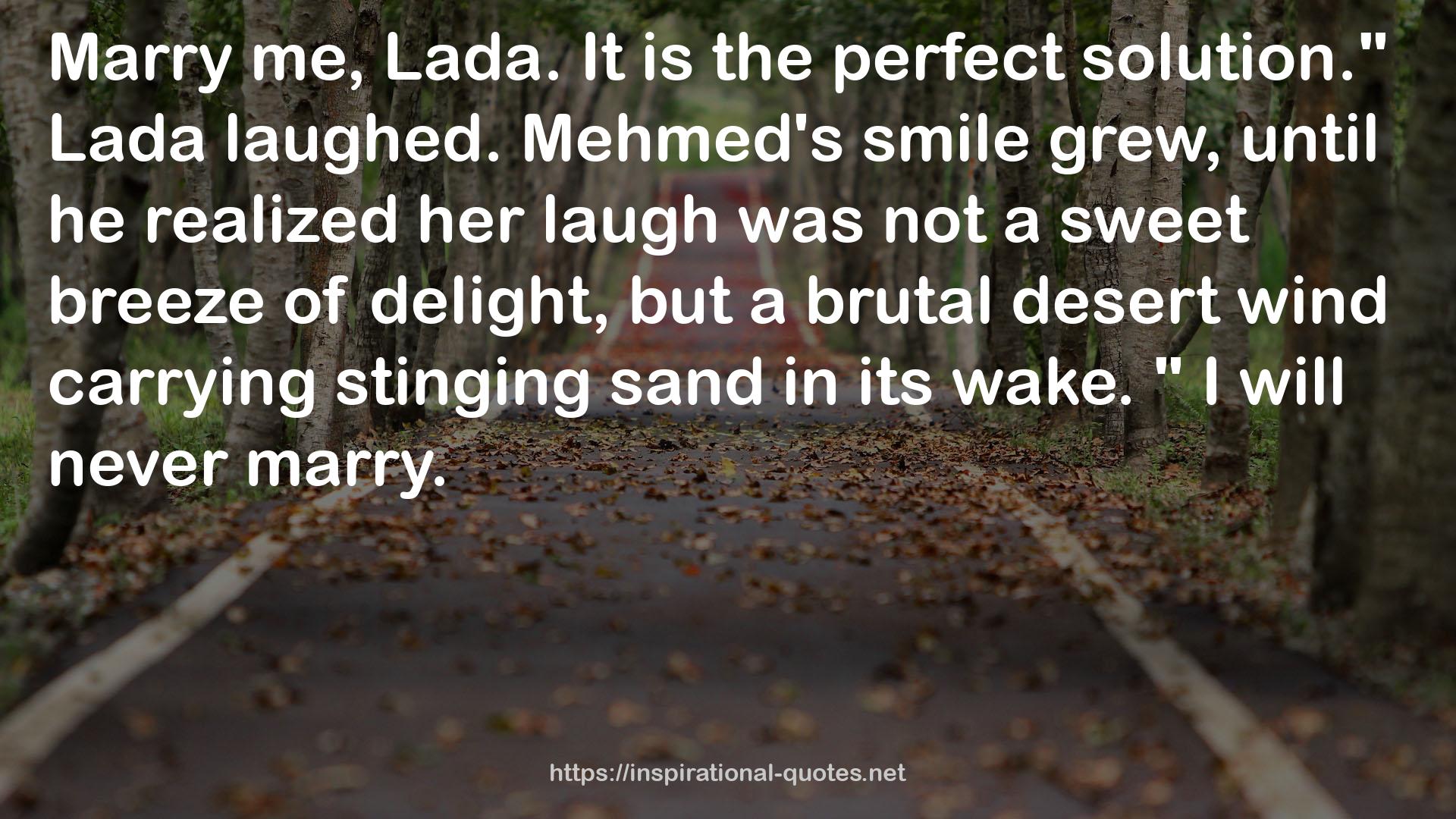 Mehmed's smile  QUOTES