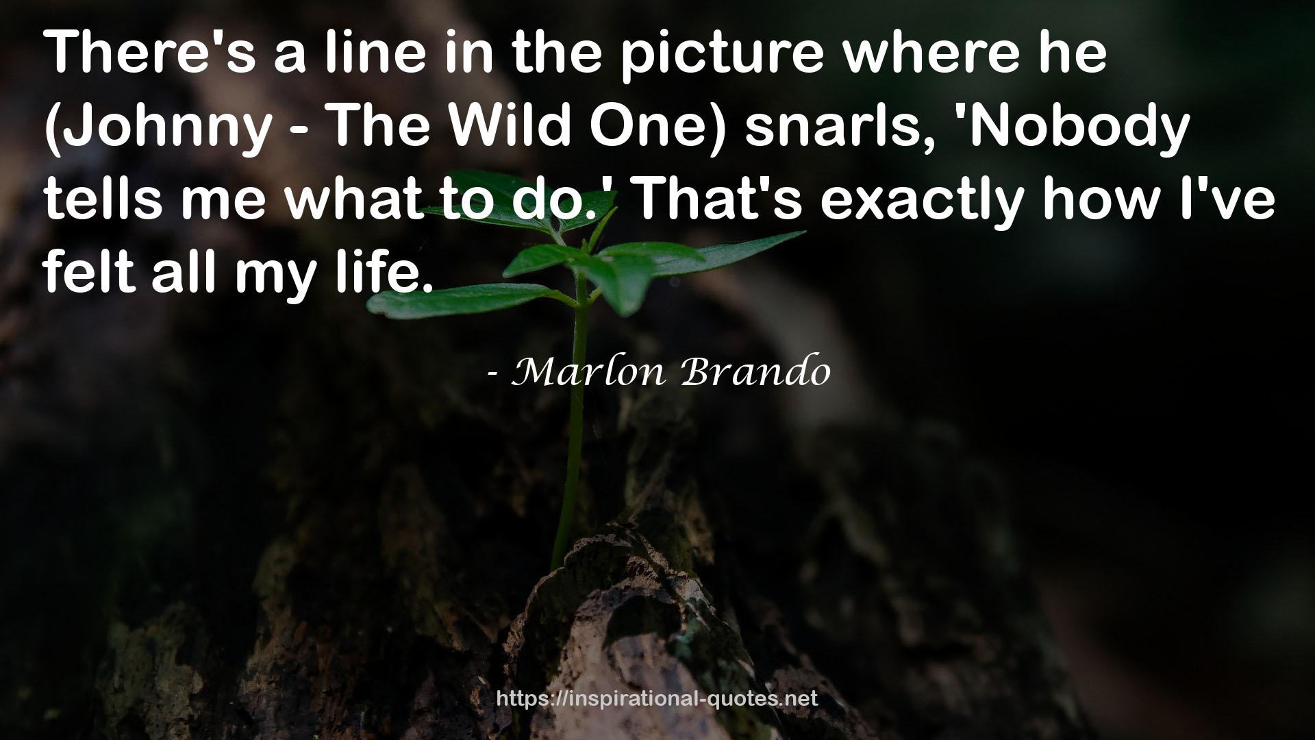 Marlon Brando QUOTES