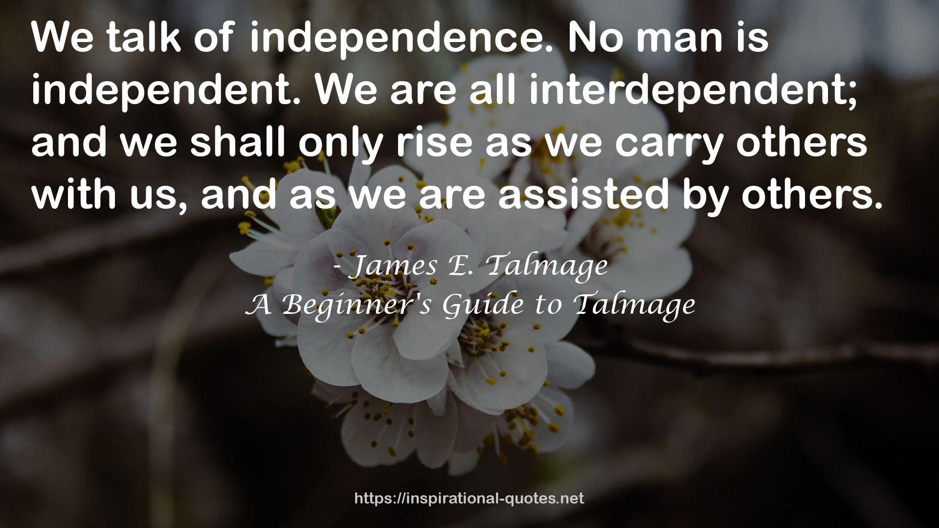 A Beginner's Guide to Talmage QUOTES