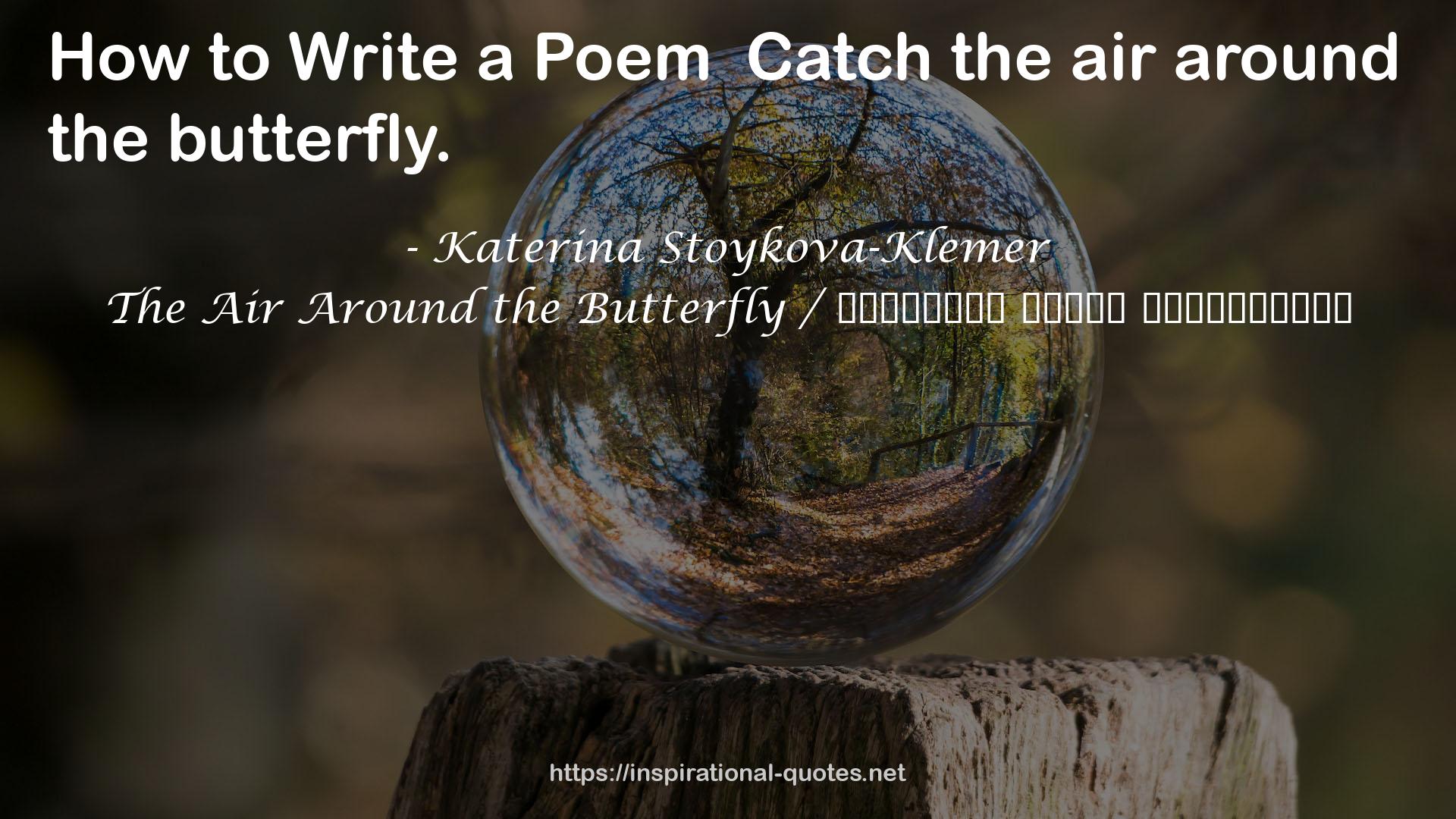 The Air Around the Butterfly / Въздухът около пеперудата QUOTES