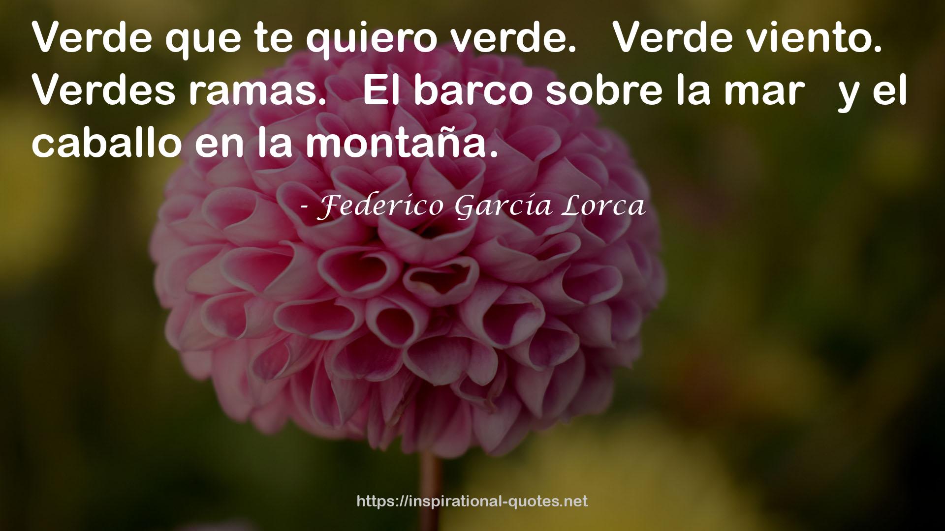 Verde  QUOTES