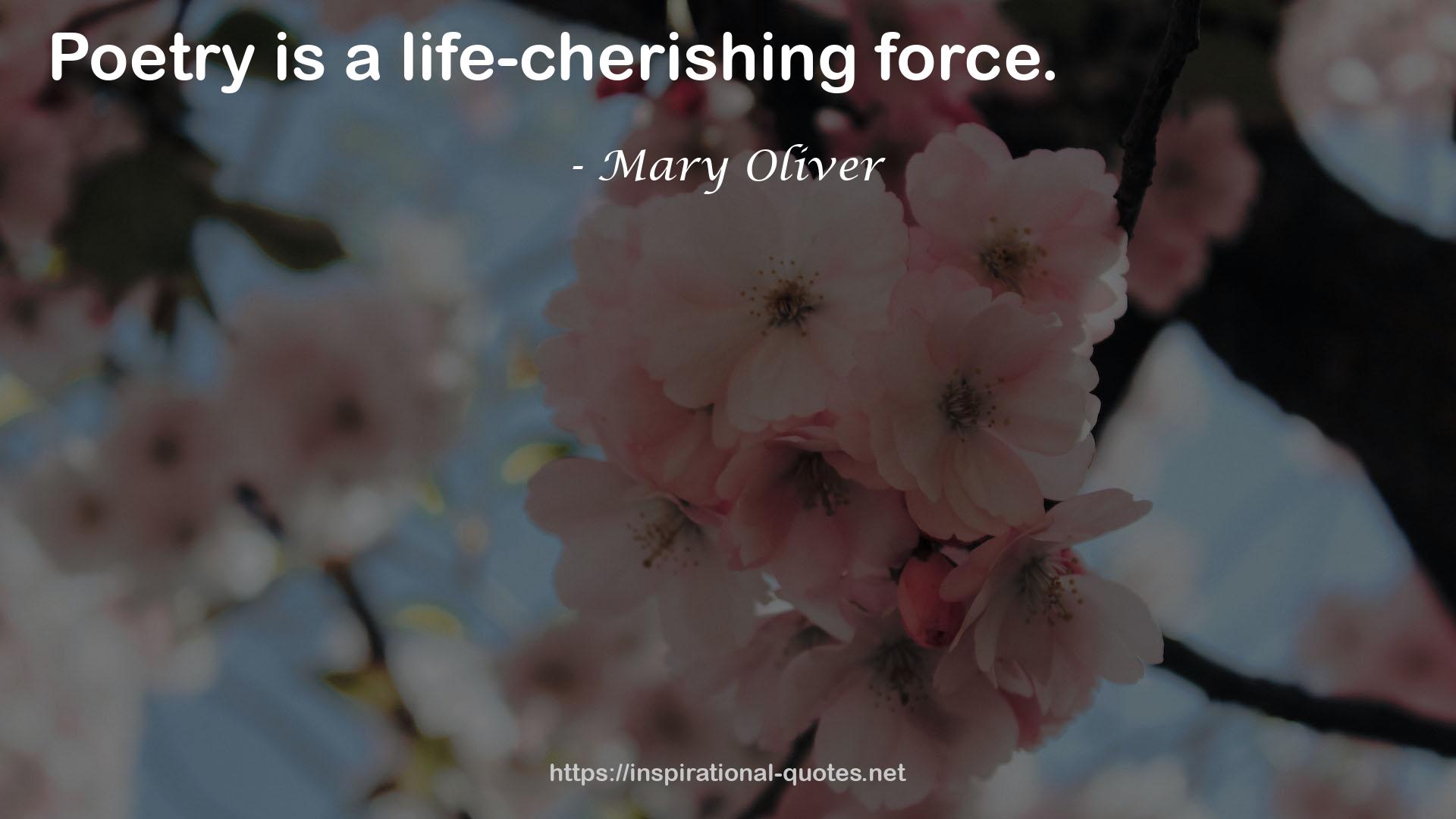 a life-cherishing force  QUOTES