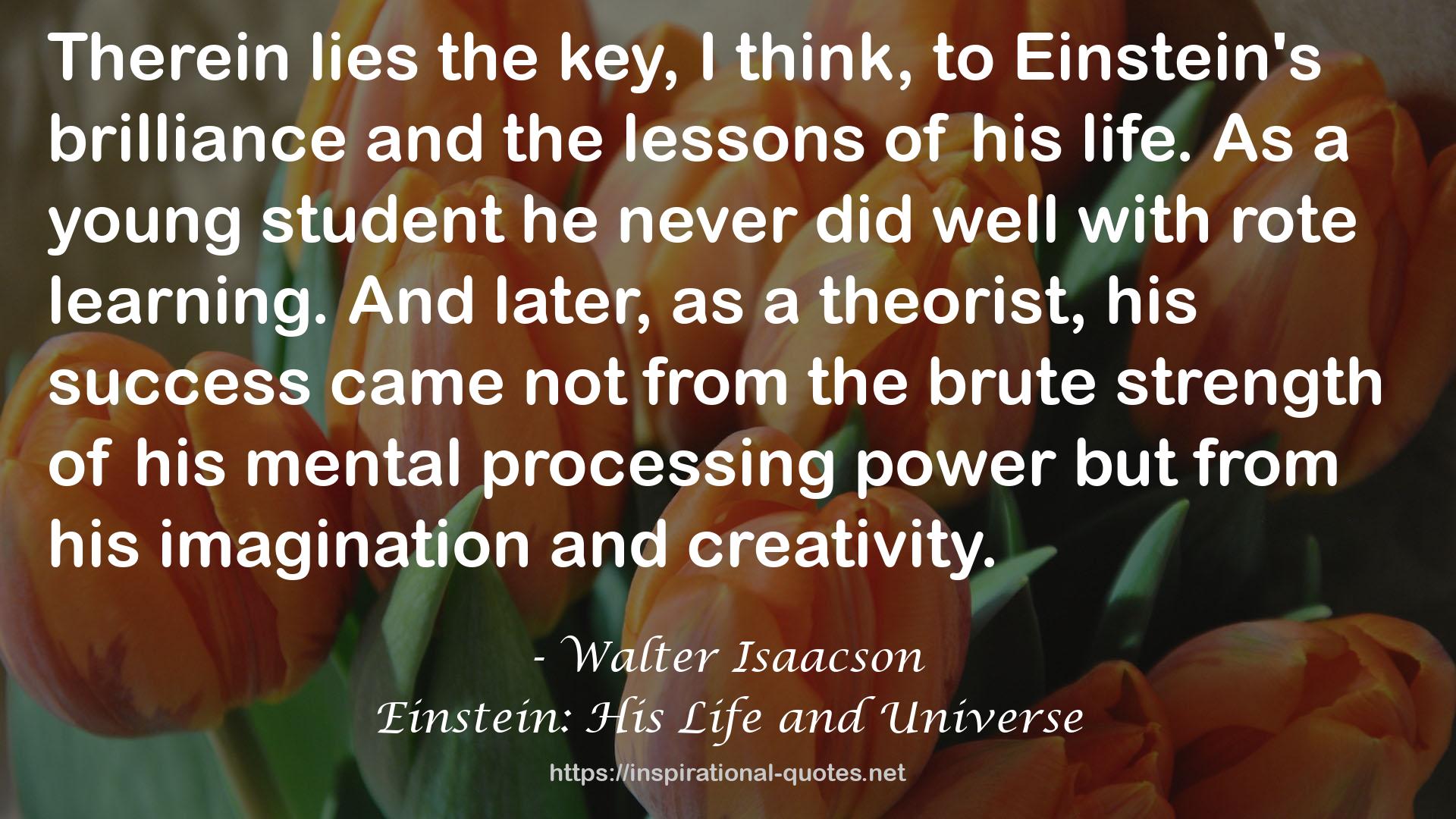Einstein: His Life and Universe QUOTES