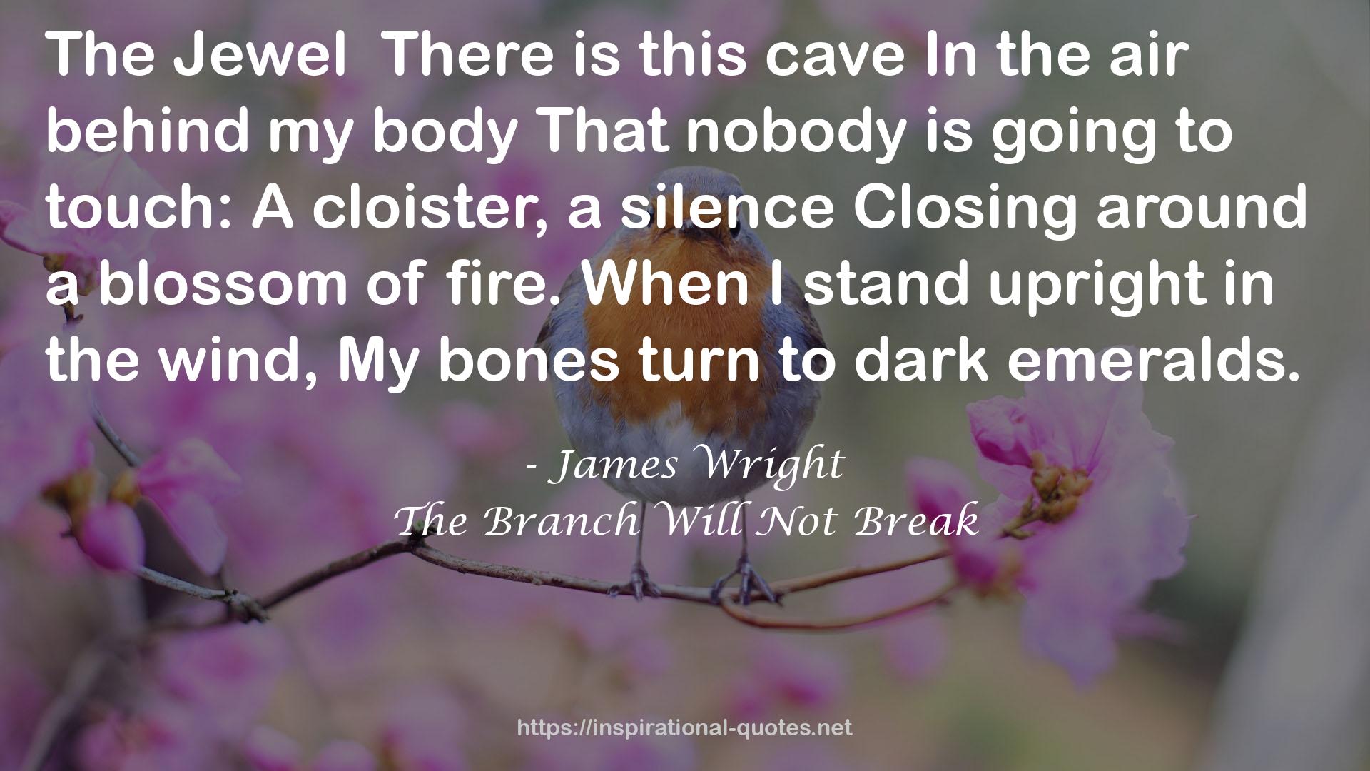 James Wright QUOTES