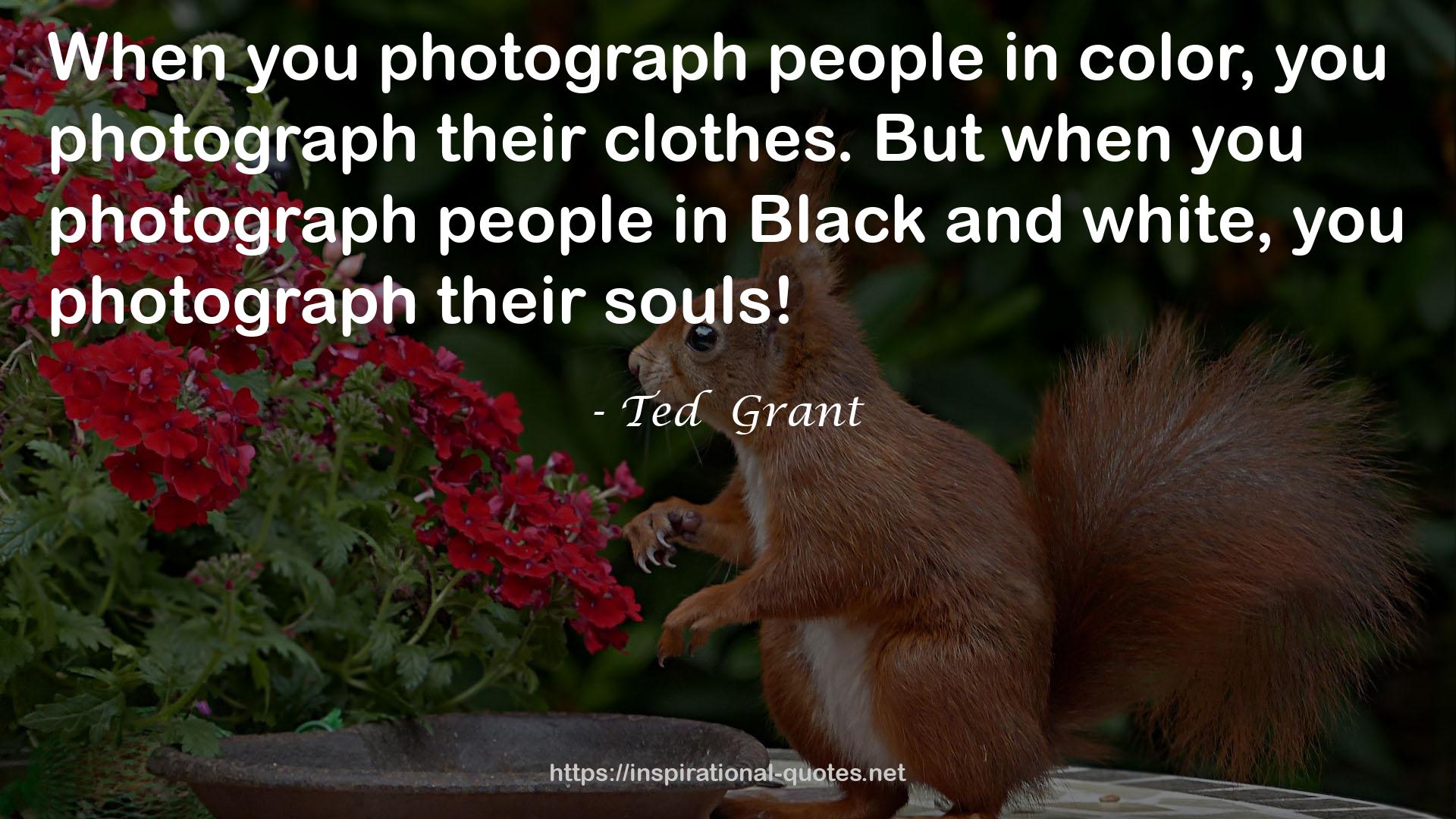 Ted  Grant QUOTES
