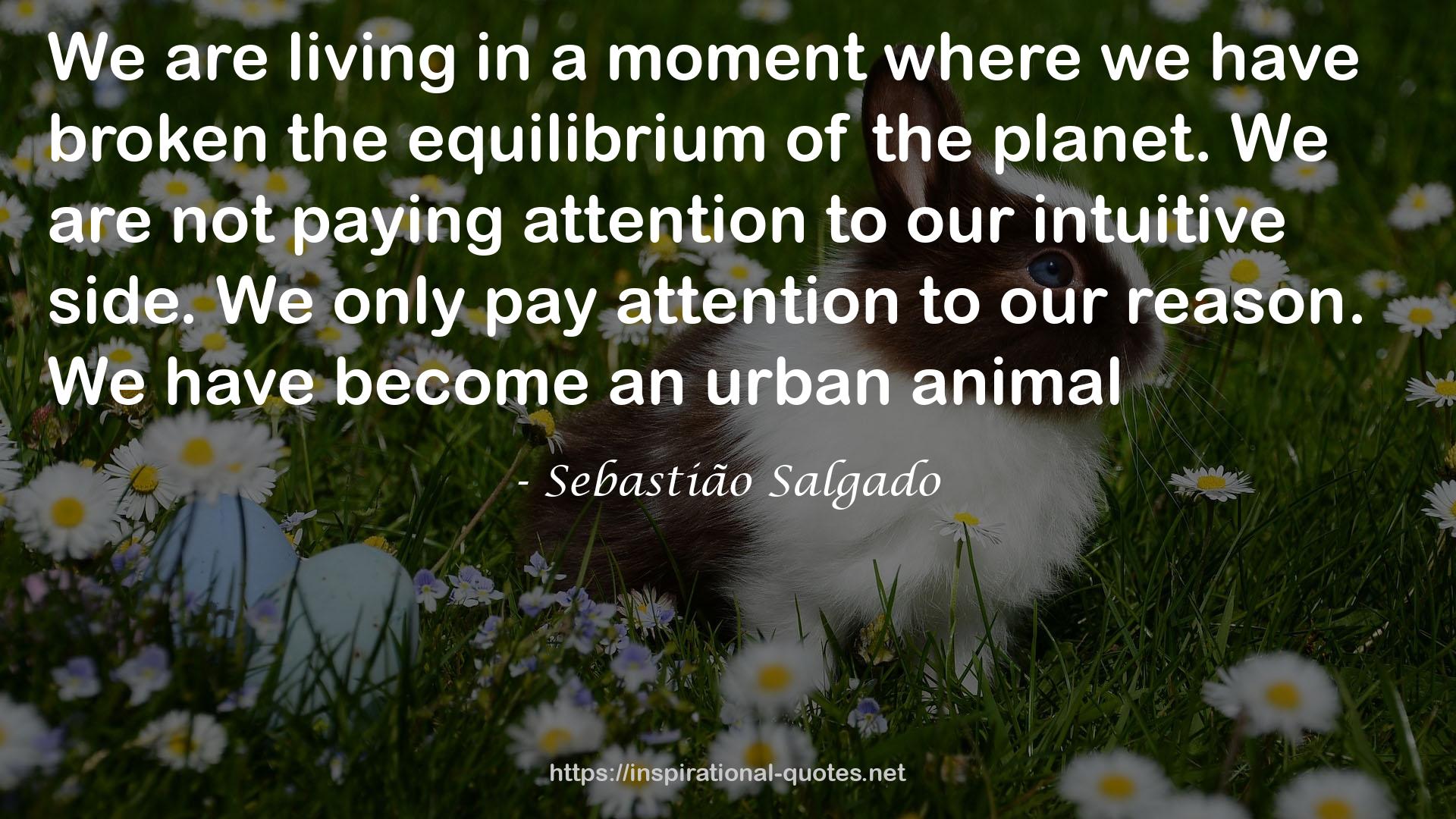 Sebastião Salgado QUOTES