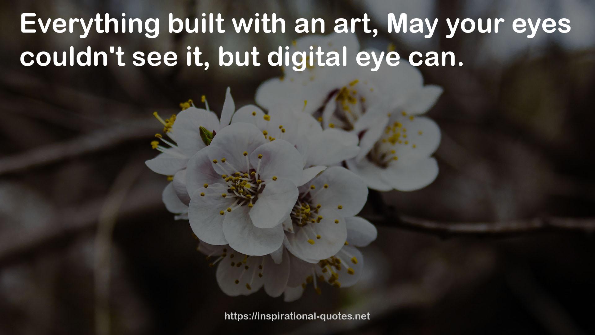 digital eye  QUOTES