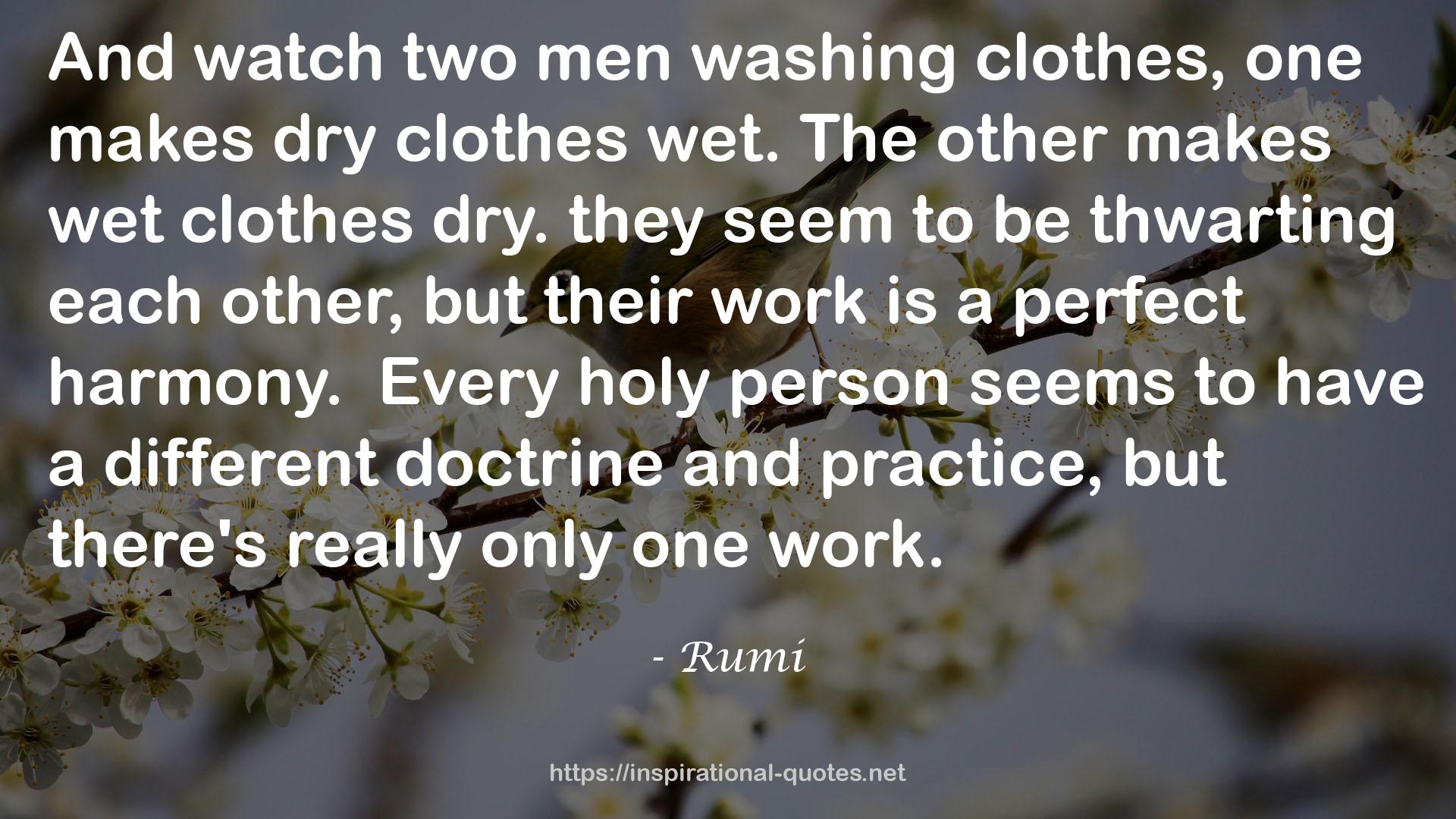 dry clothes  QUOTES