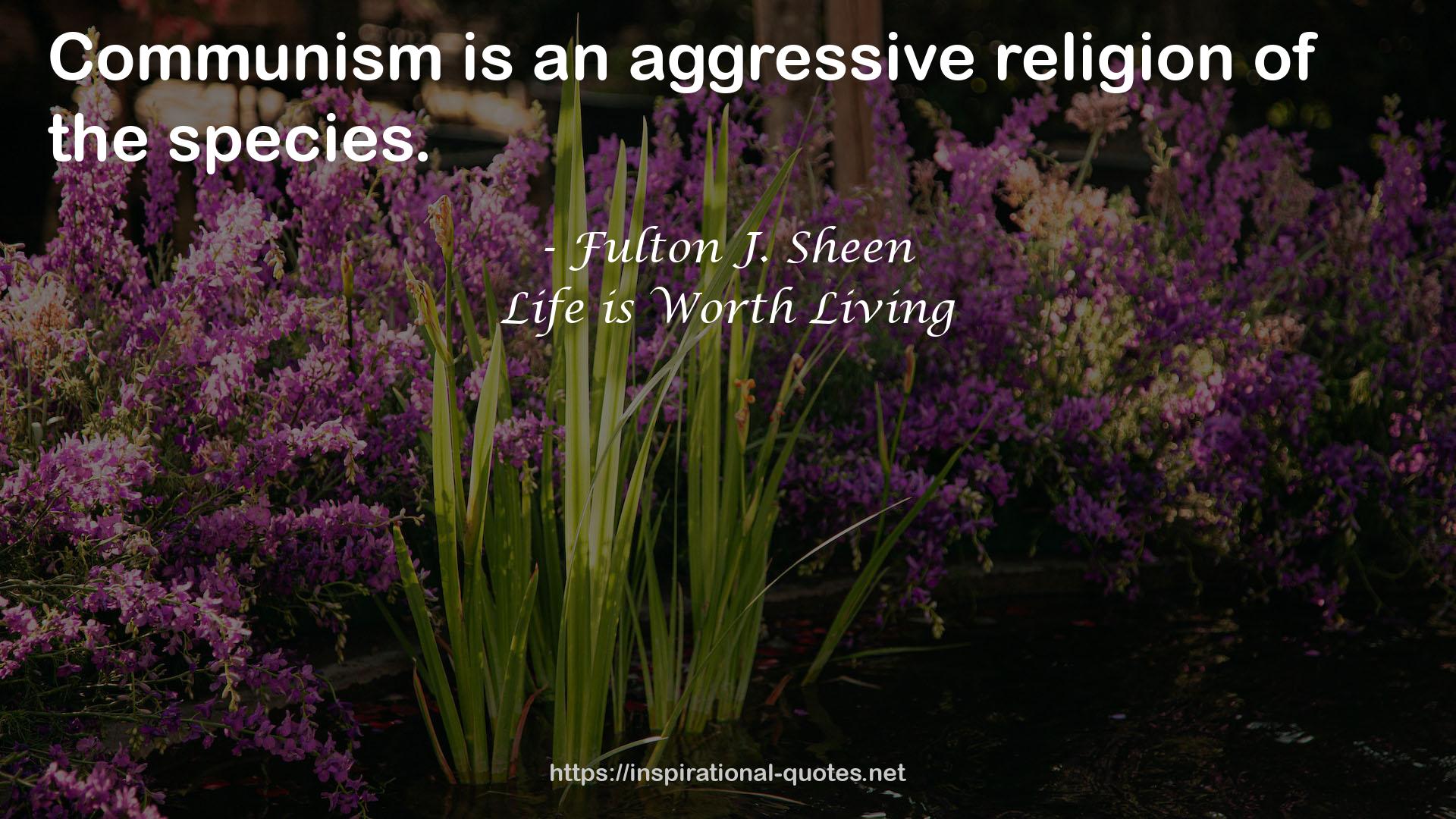 an aggressive religion  QUOTES