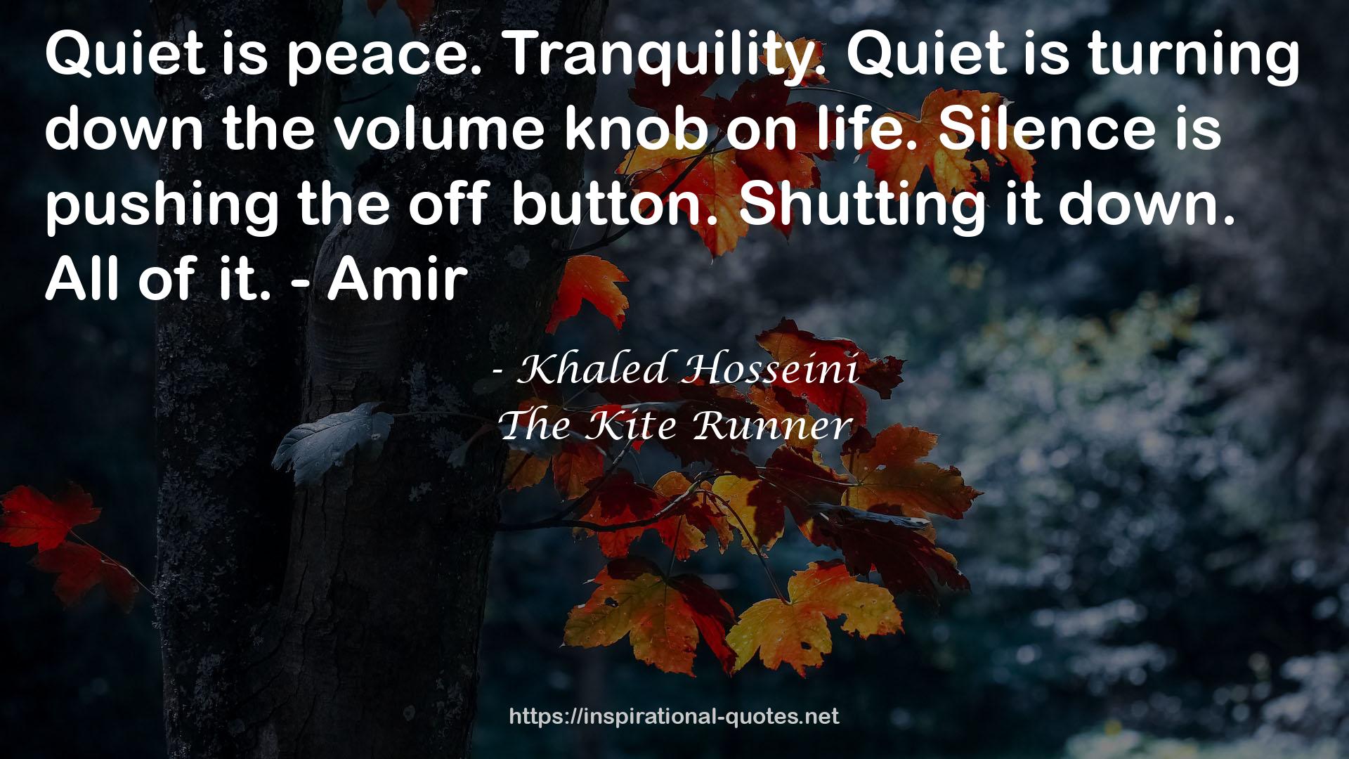 the volume knob  QUOTES