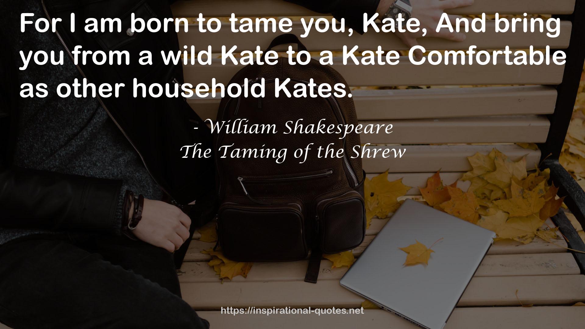 KateComfortable  QUOTES