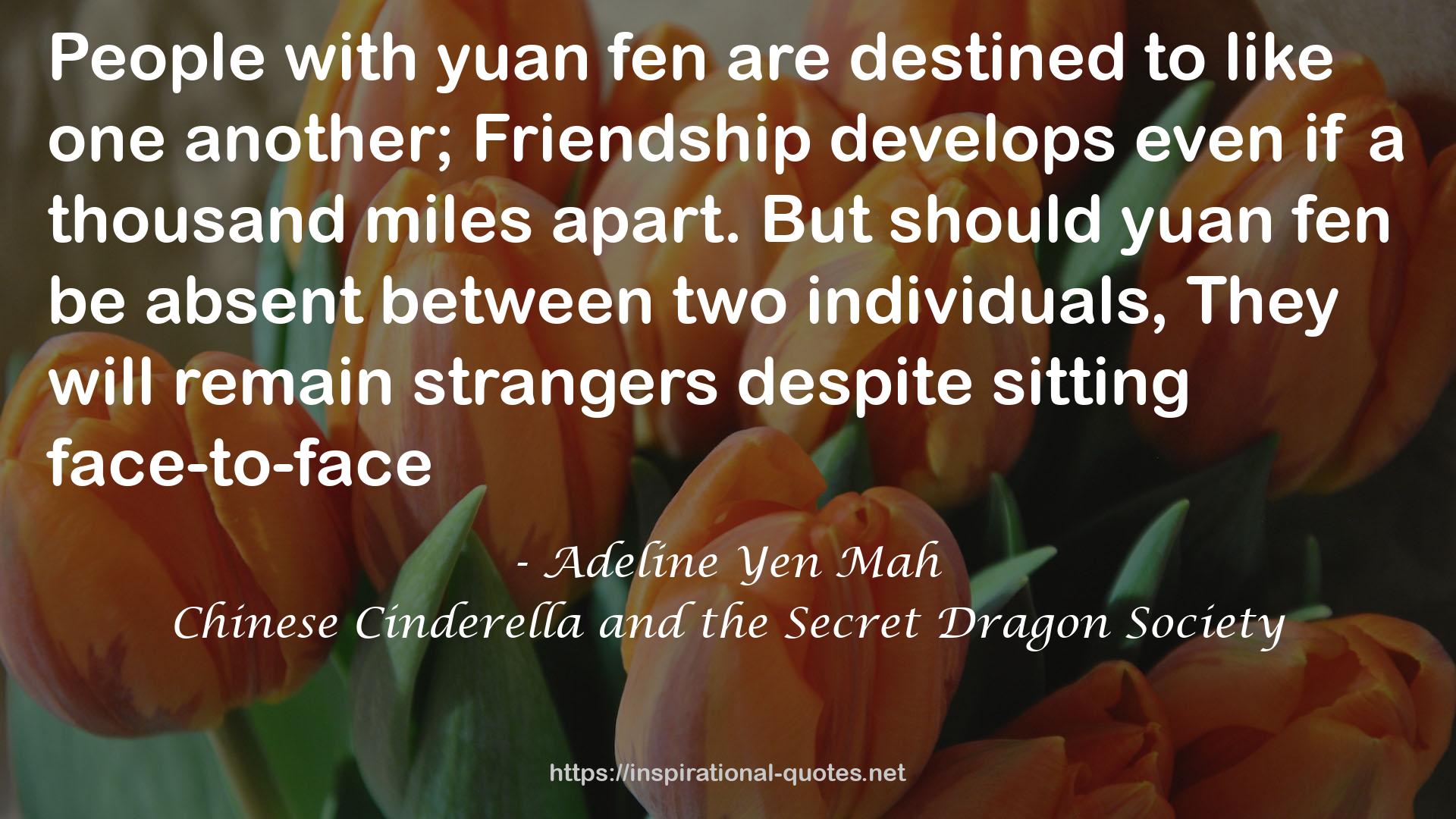 Chinese Cinderella and the Secret Dragon Society QUOTES