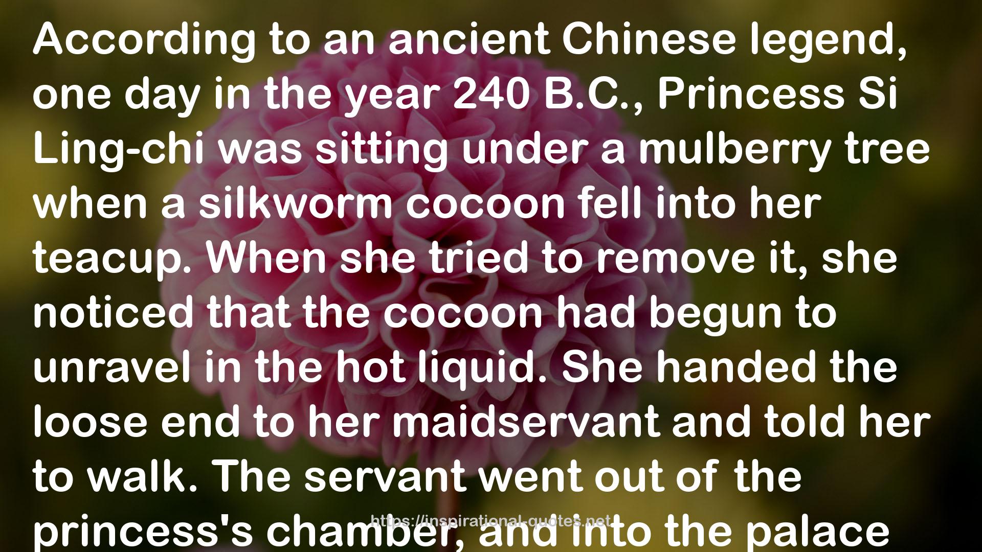 Si Ling-chi  QUOTES