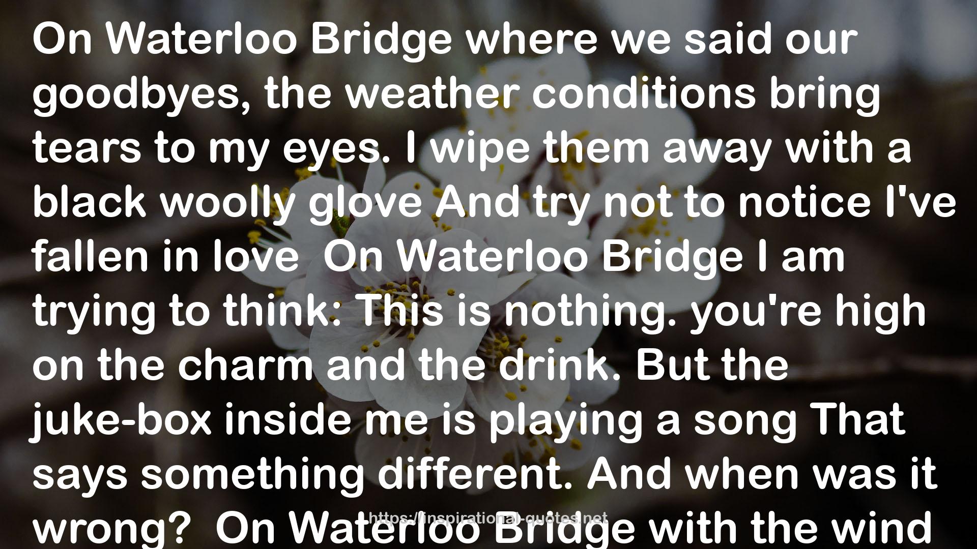loveOn Waterloo Bridge  QUOTES