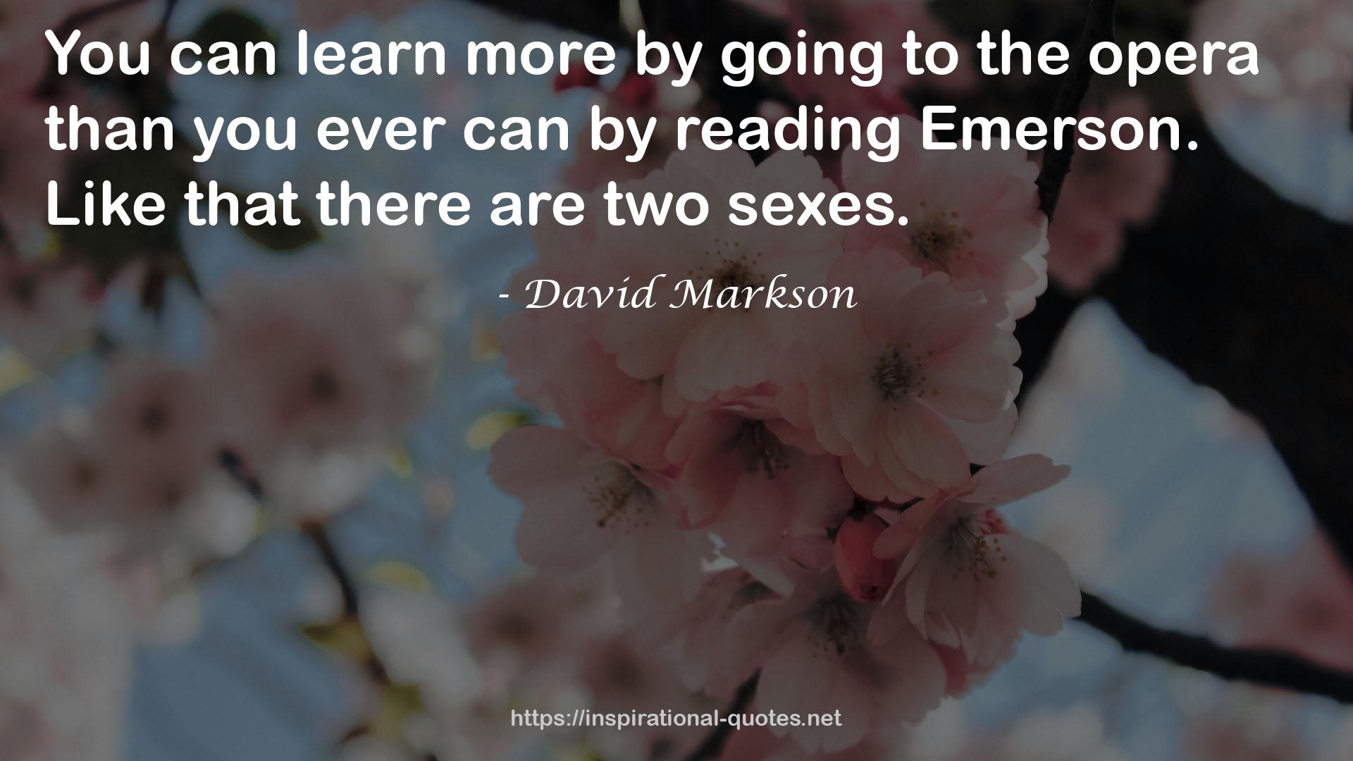 David Markson QUOTES