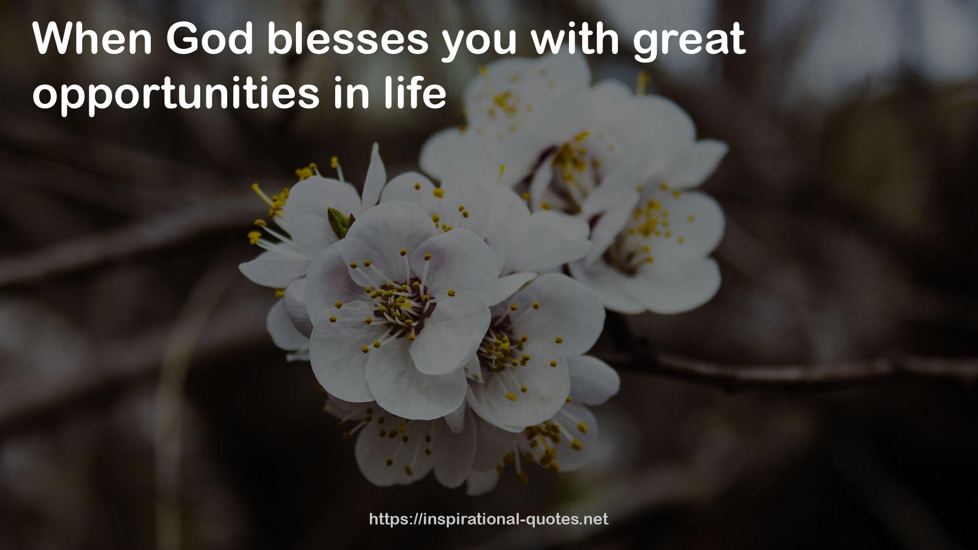 blesses  QUOTES