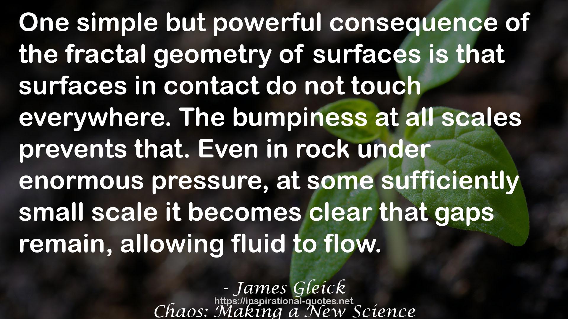 the fractal geometry  QUOTES