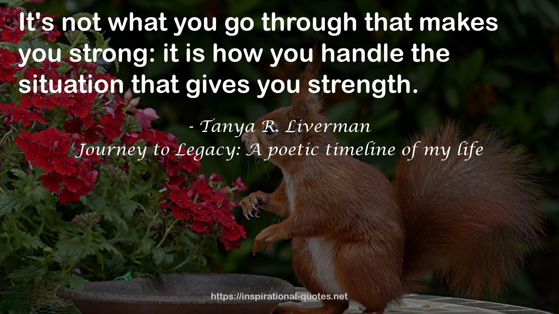 Journey to Legacy: A poetic timeline of my life QUOTES