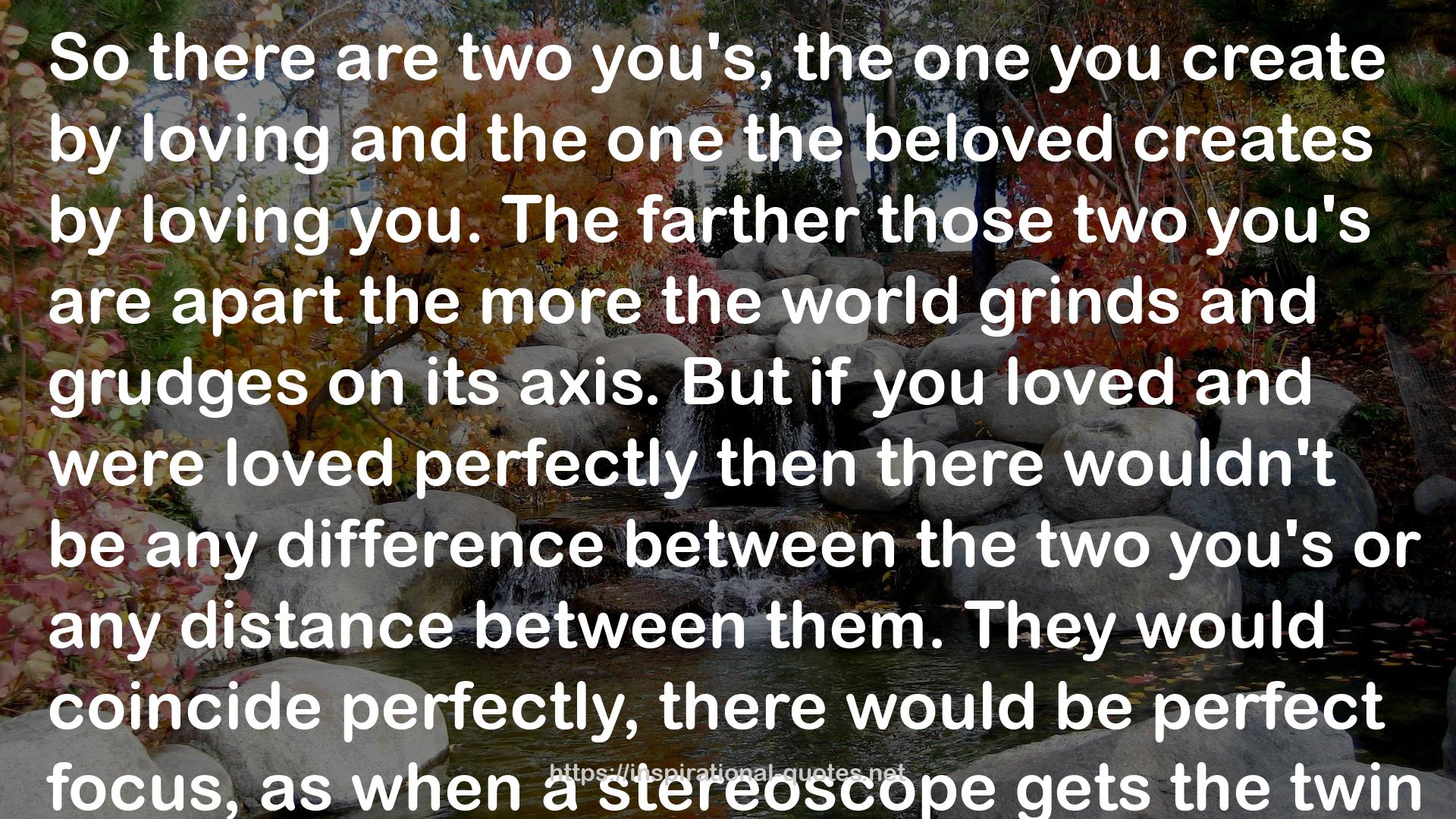 a stereoscope  QUOTES