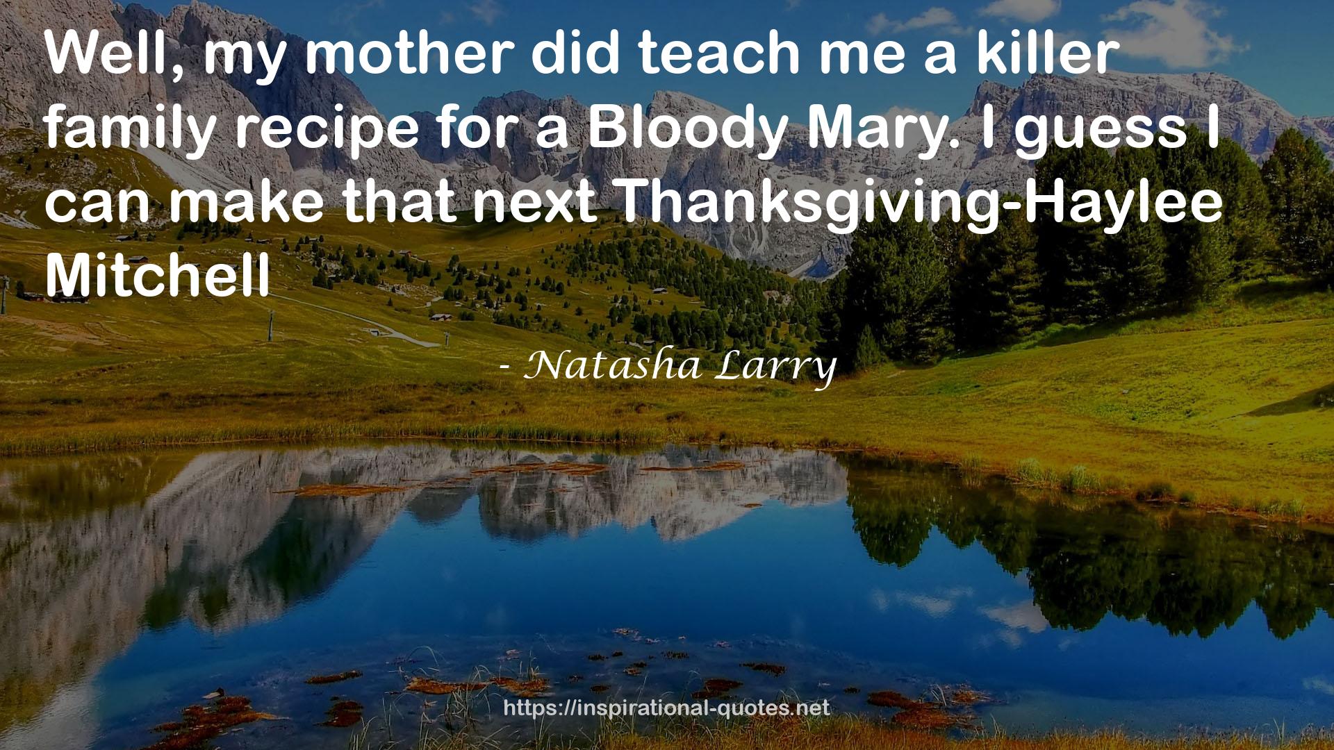 Natasha Larry quote : Well, my mother did teach me a killer family recipe for a Bloody Mary. I guess I can make that next Thanksgiving-Haylee Mitchell