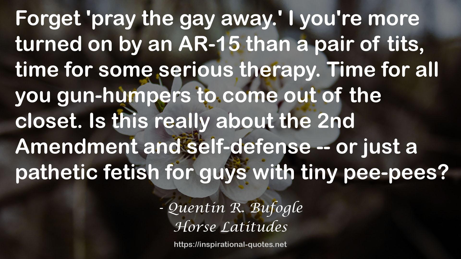 an AR-15  QUOTES
