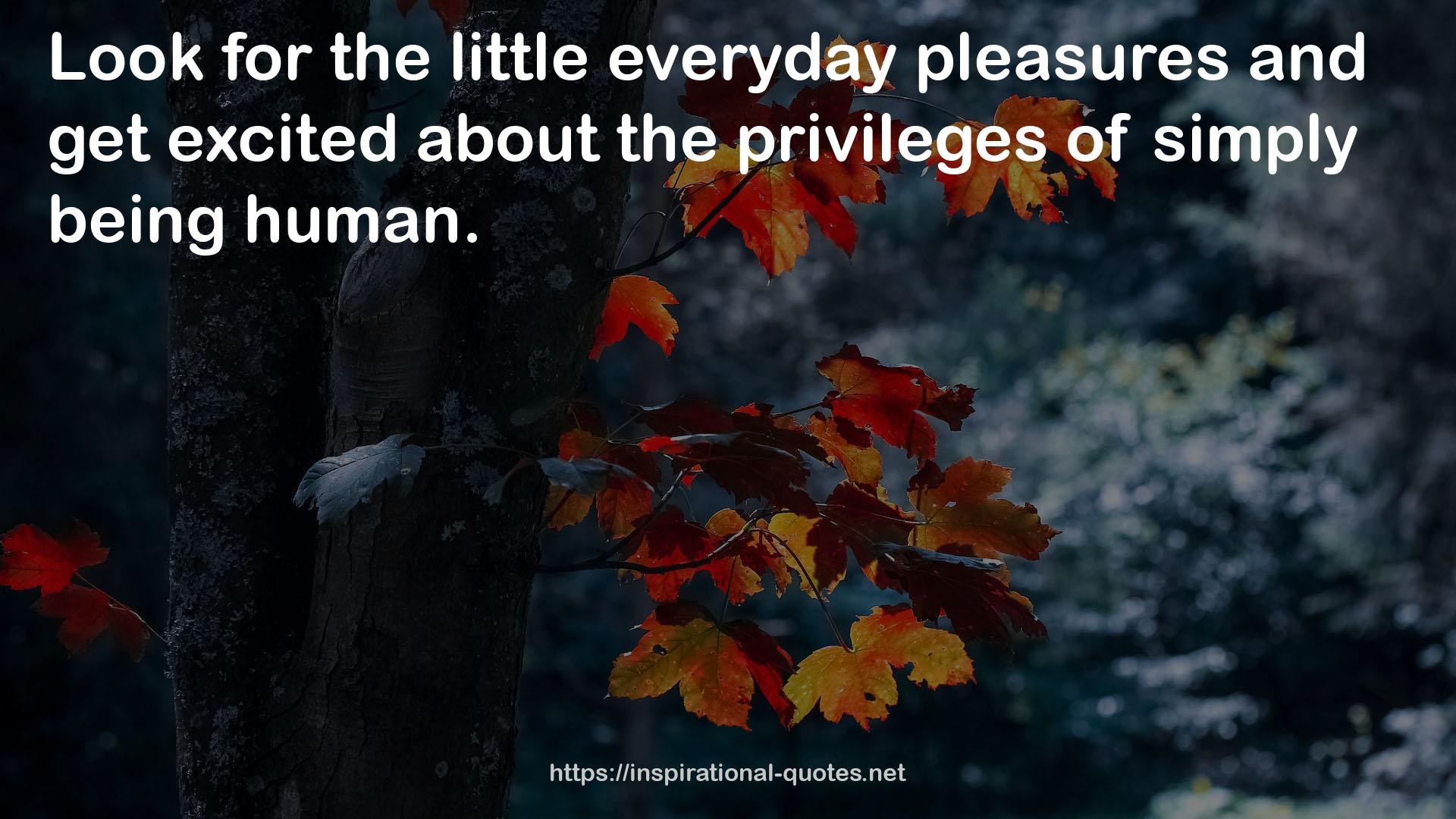 the little everyday pleasures  QUOTES