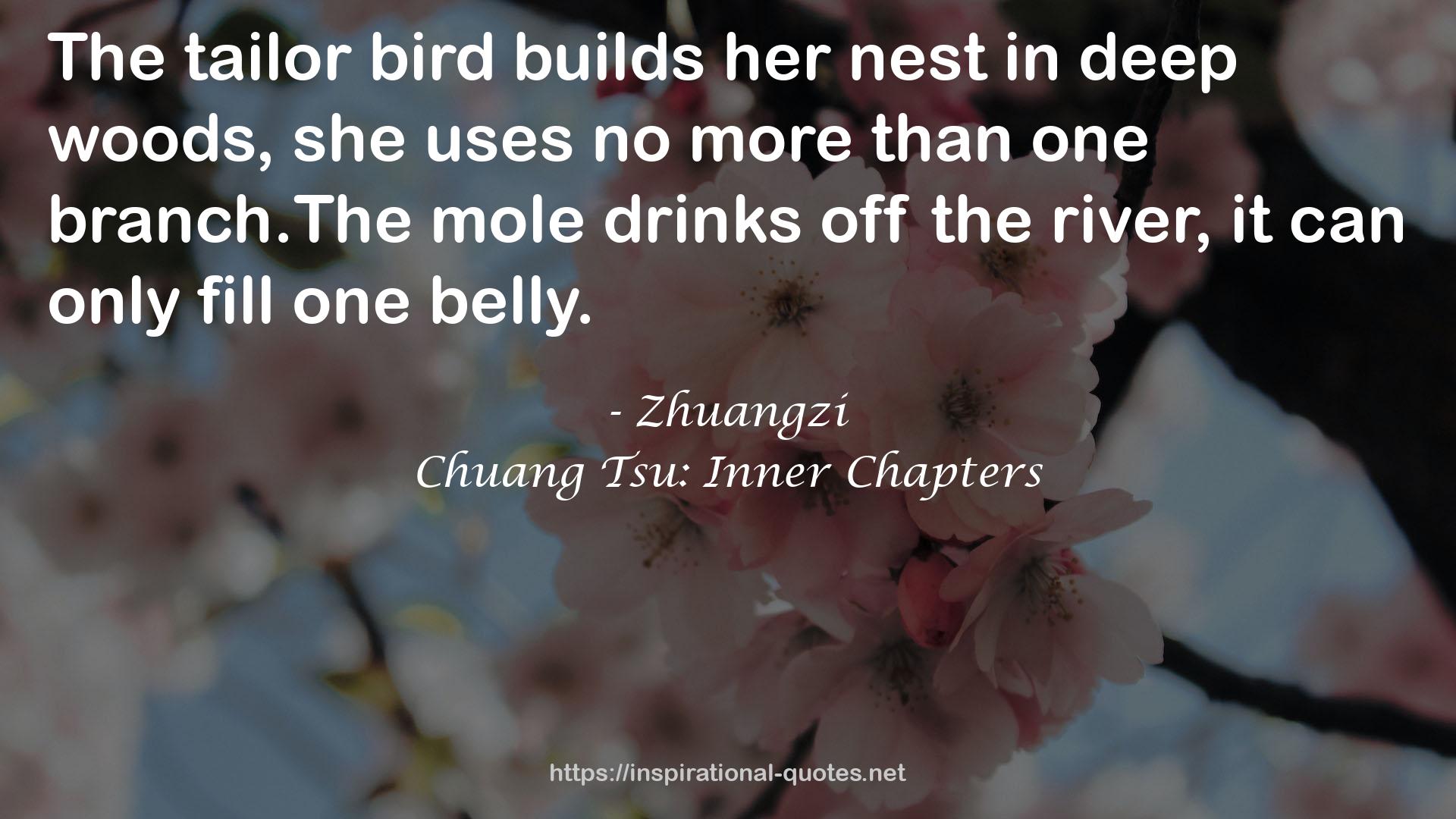 Chuang Tsu: Inner Chapters QUOTES