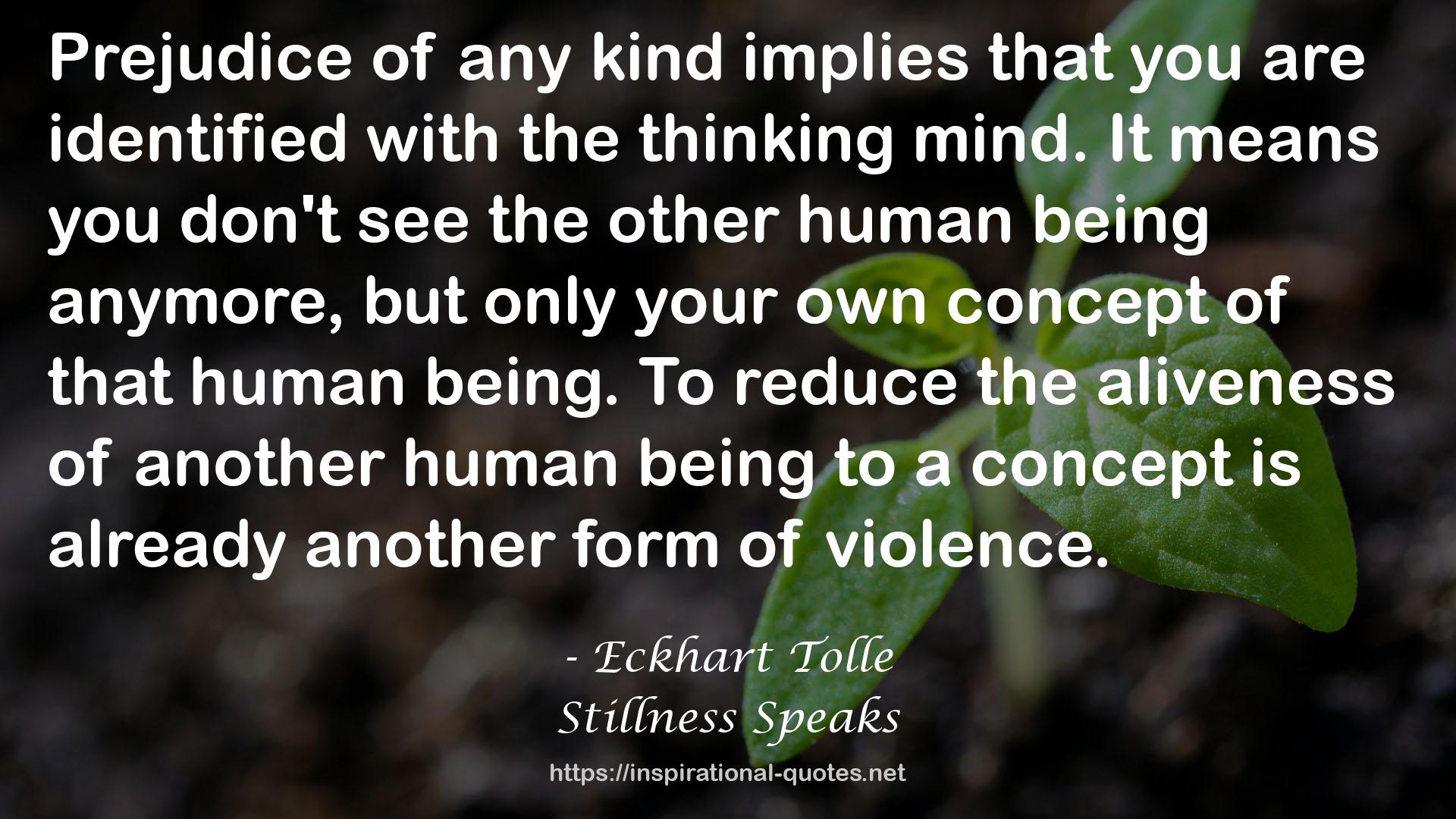 Stillness Speaks QUOTES