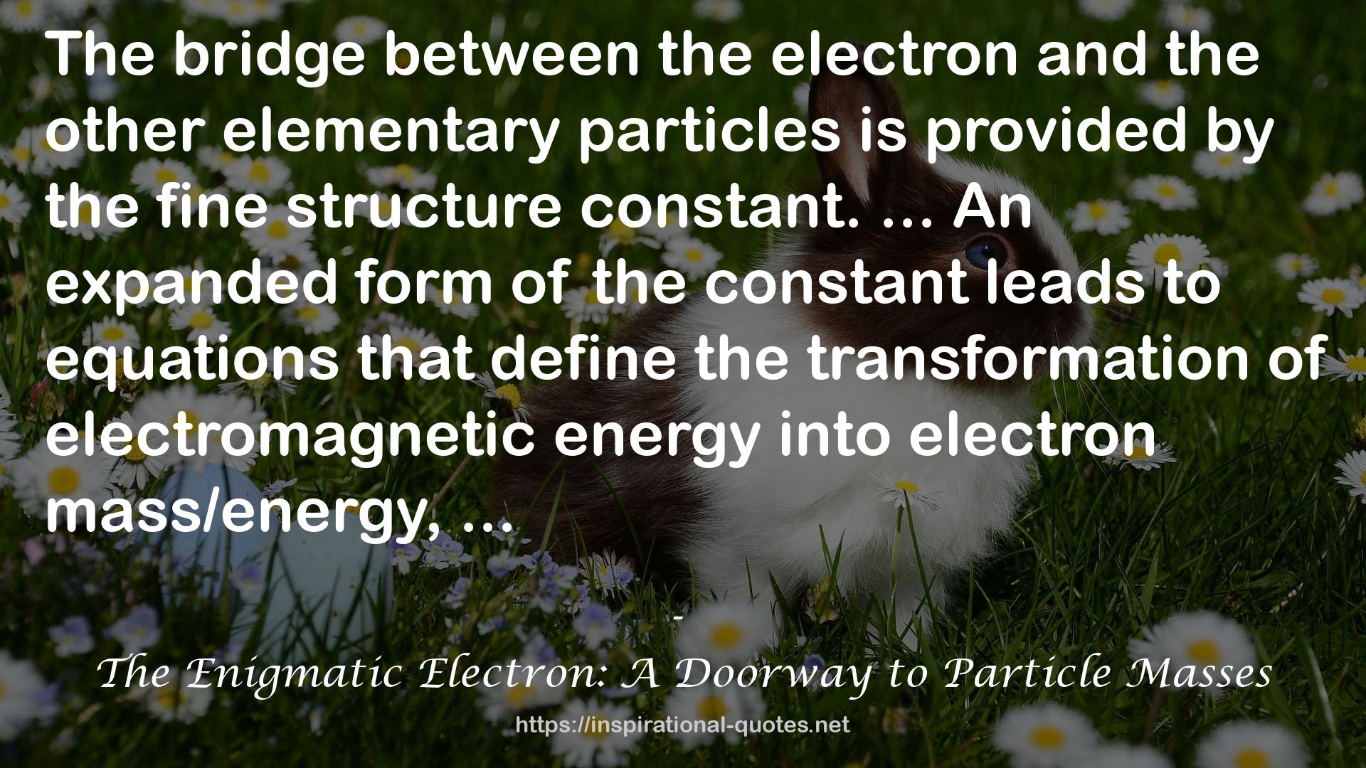 The Enigmatic Electron: A Doorway to Particle Masses QUOTES