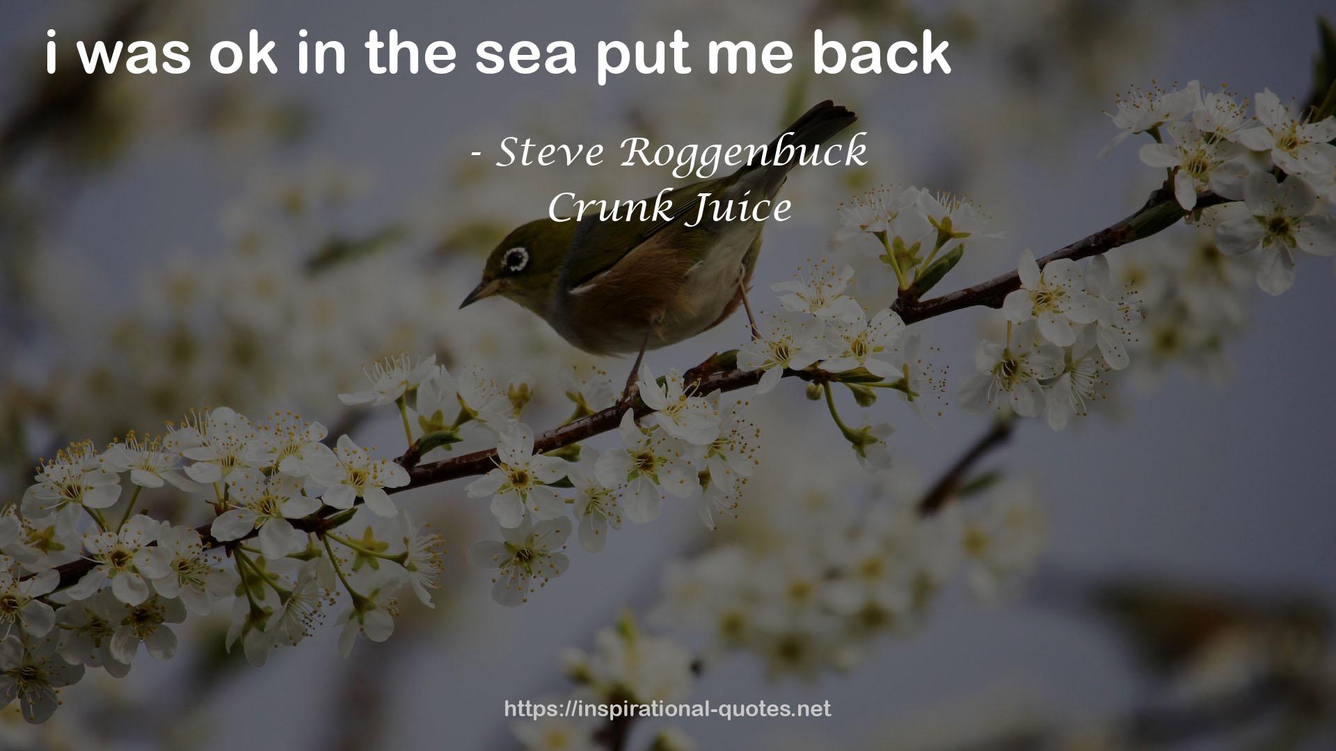 Steve Roggenbuck QUOTES