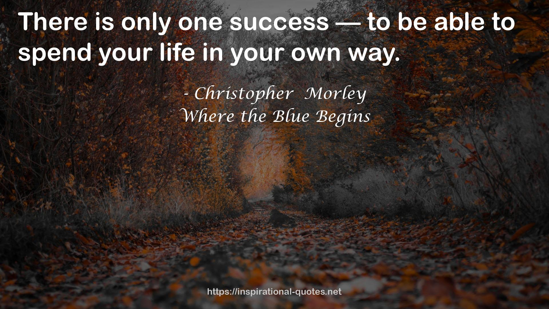 only one success  QUOTES