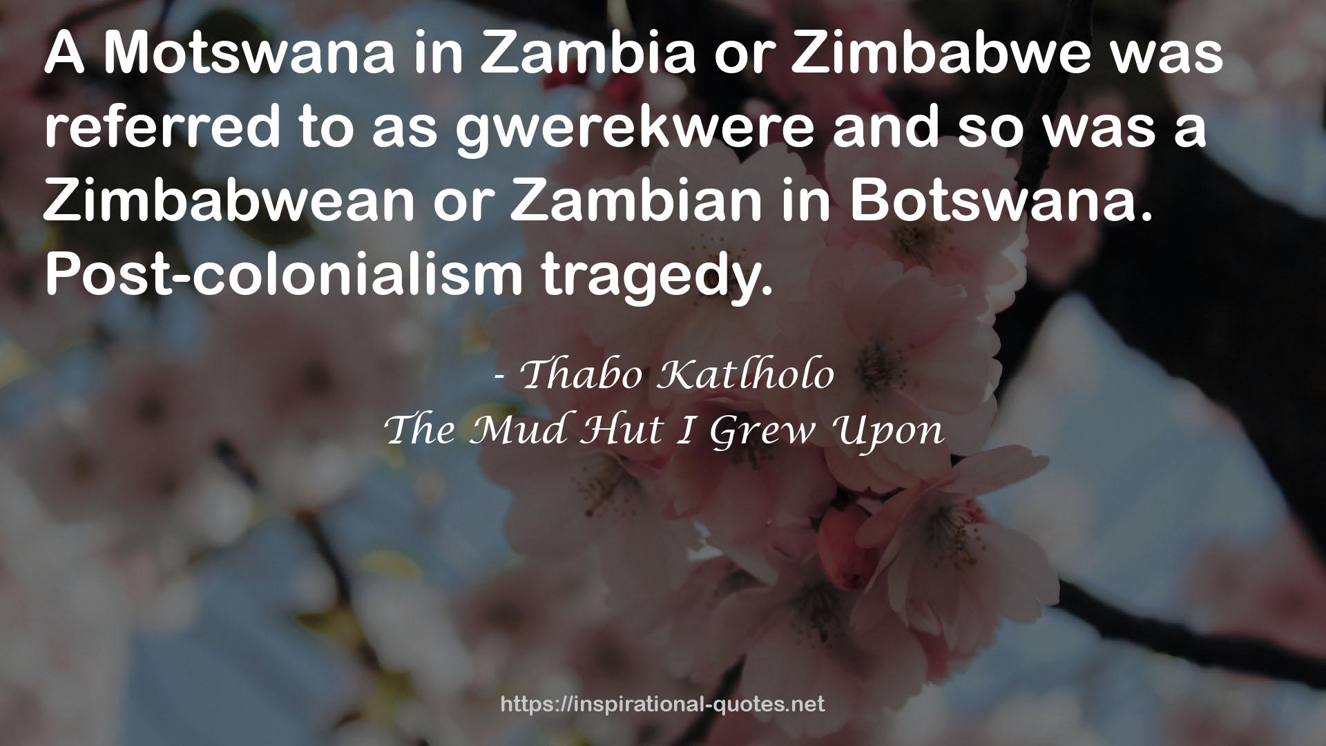 a Zimbabwean  QUOTES