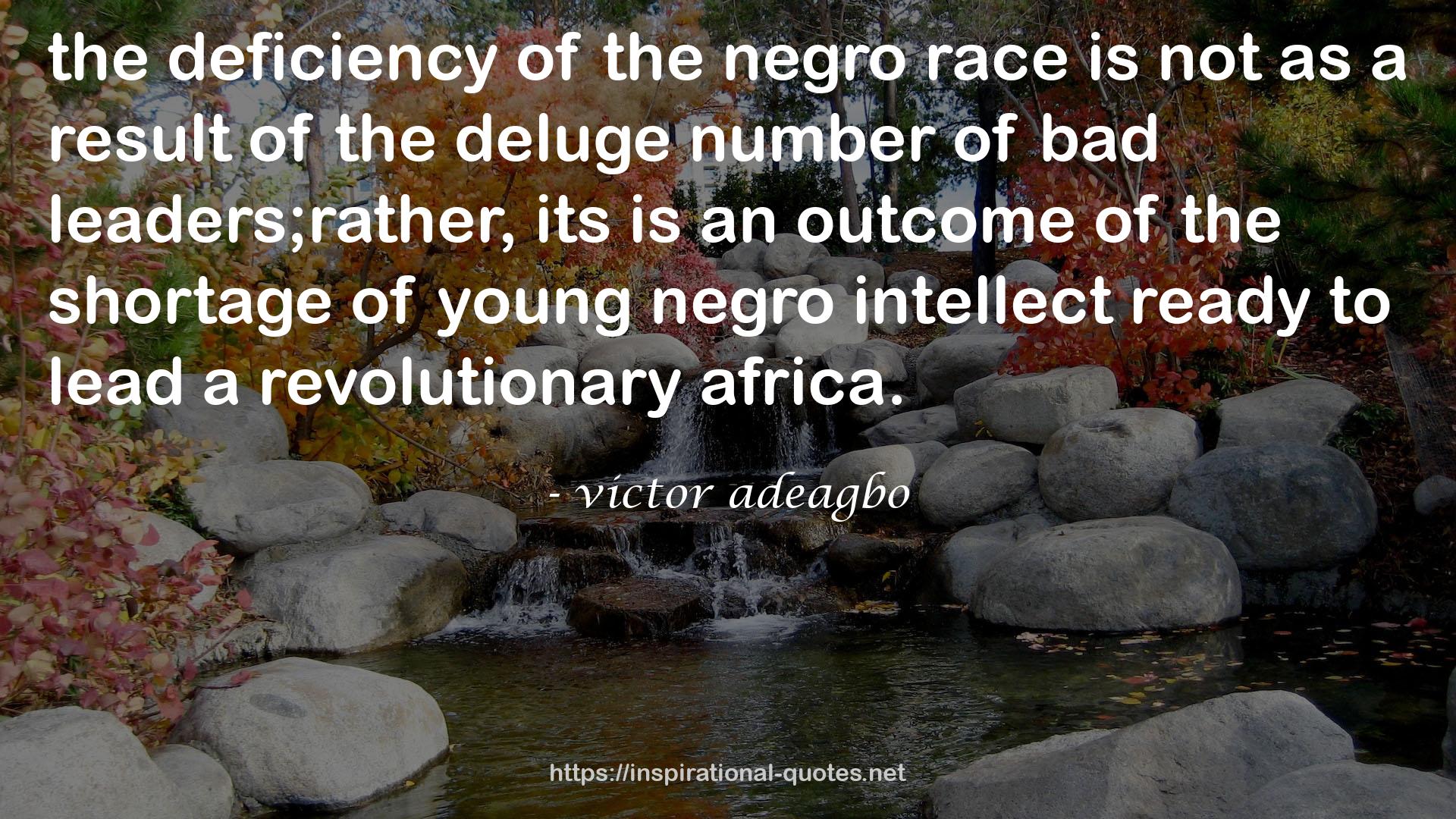 victor adeagbo QUOTES
