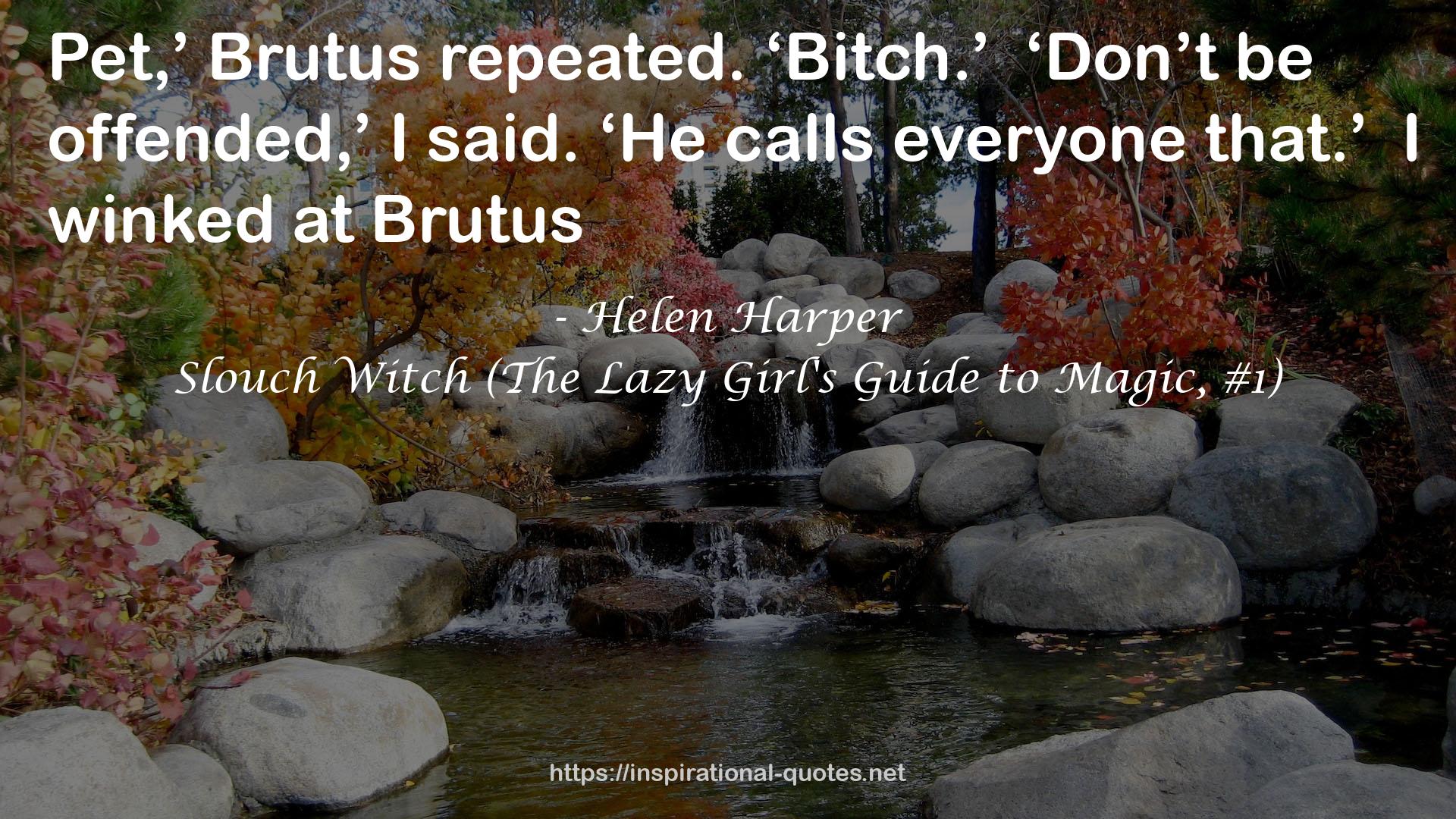 Slouch Witch (The Lazy Girl's Guide to Magic, #1) QUOTES