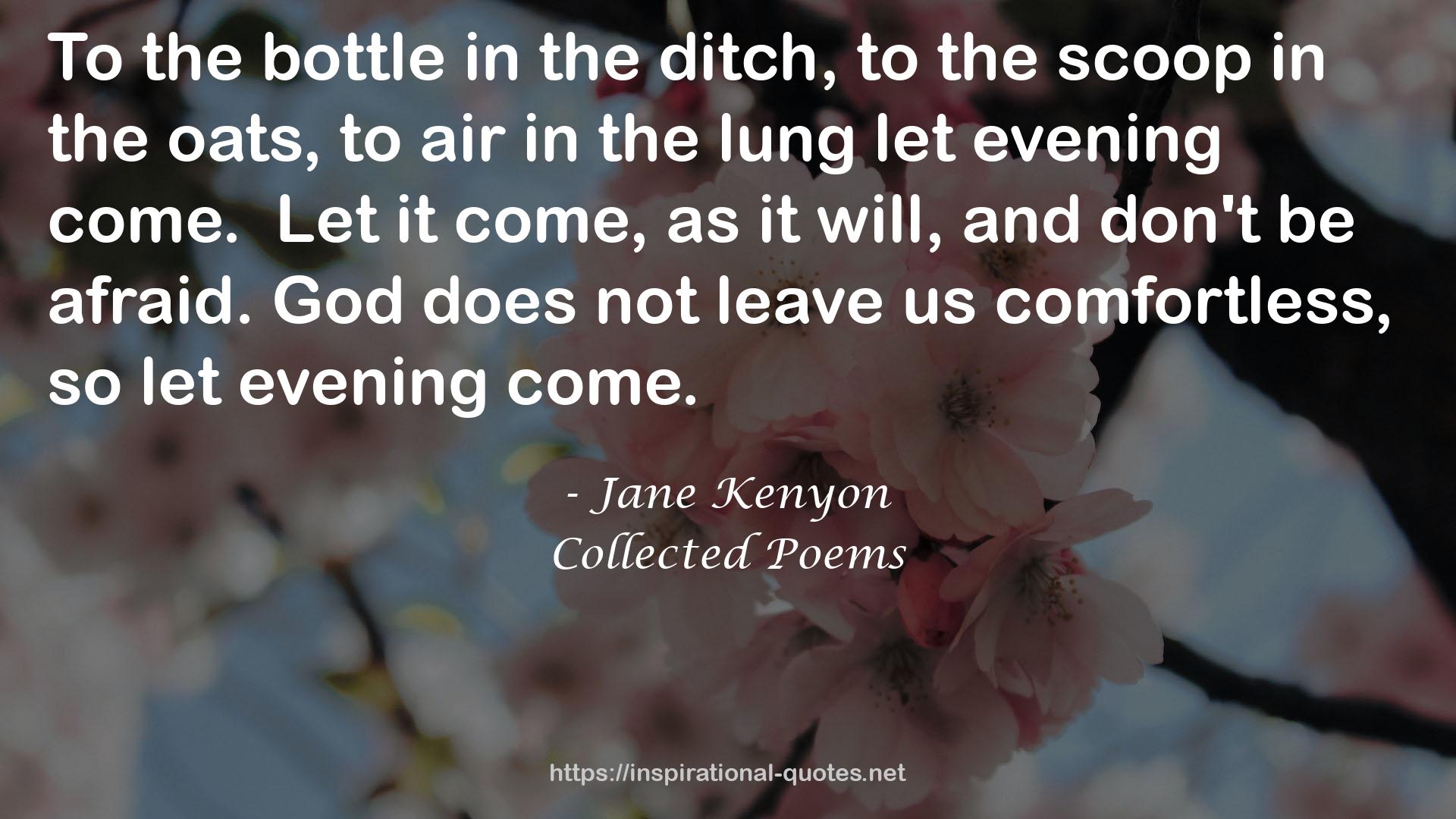 the lunglet evening  QUOTES