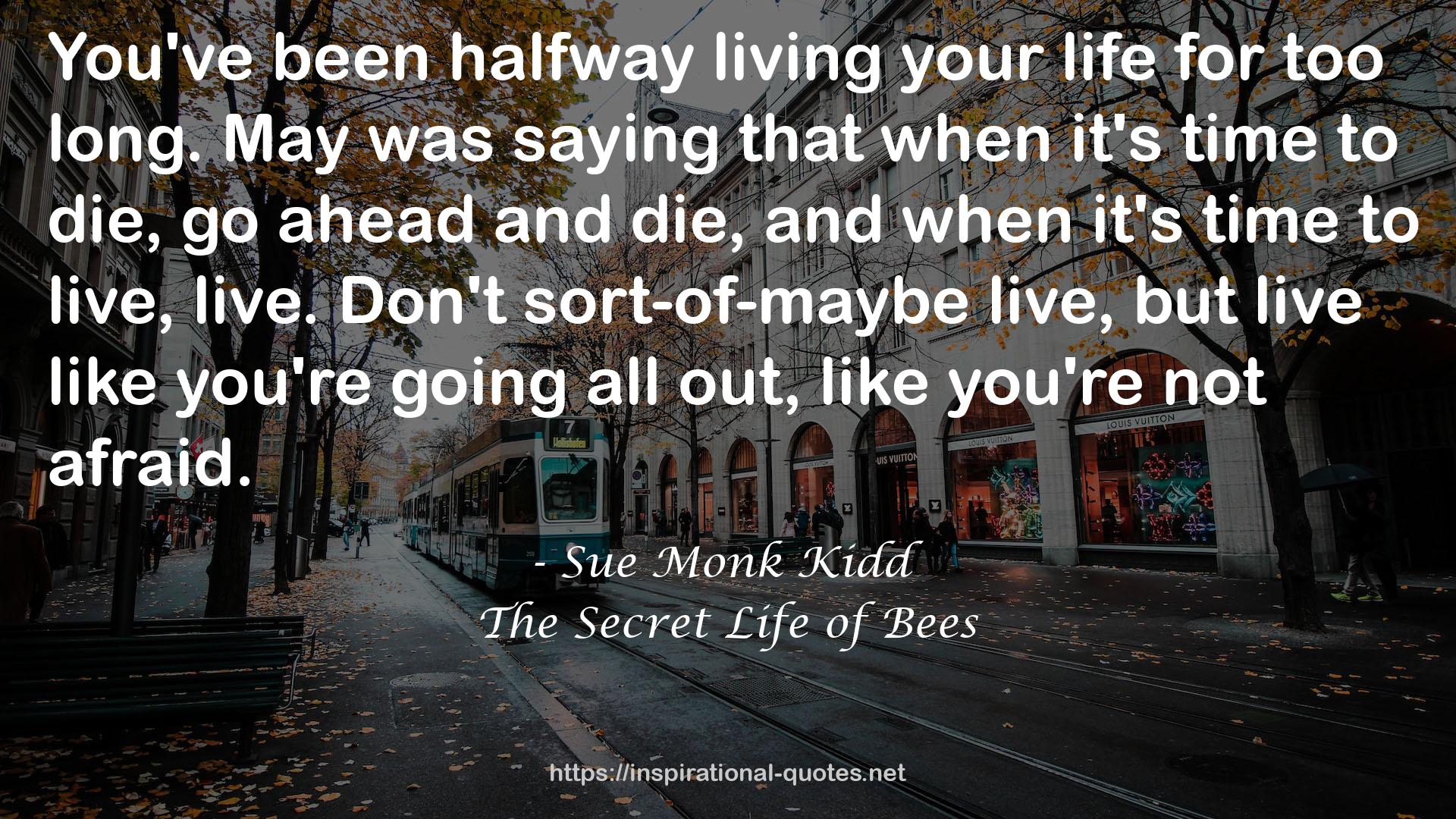 Sue Monk Kidd QUOTES