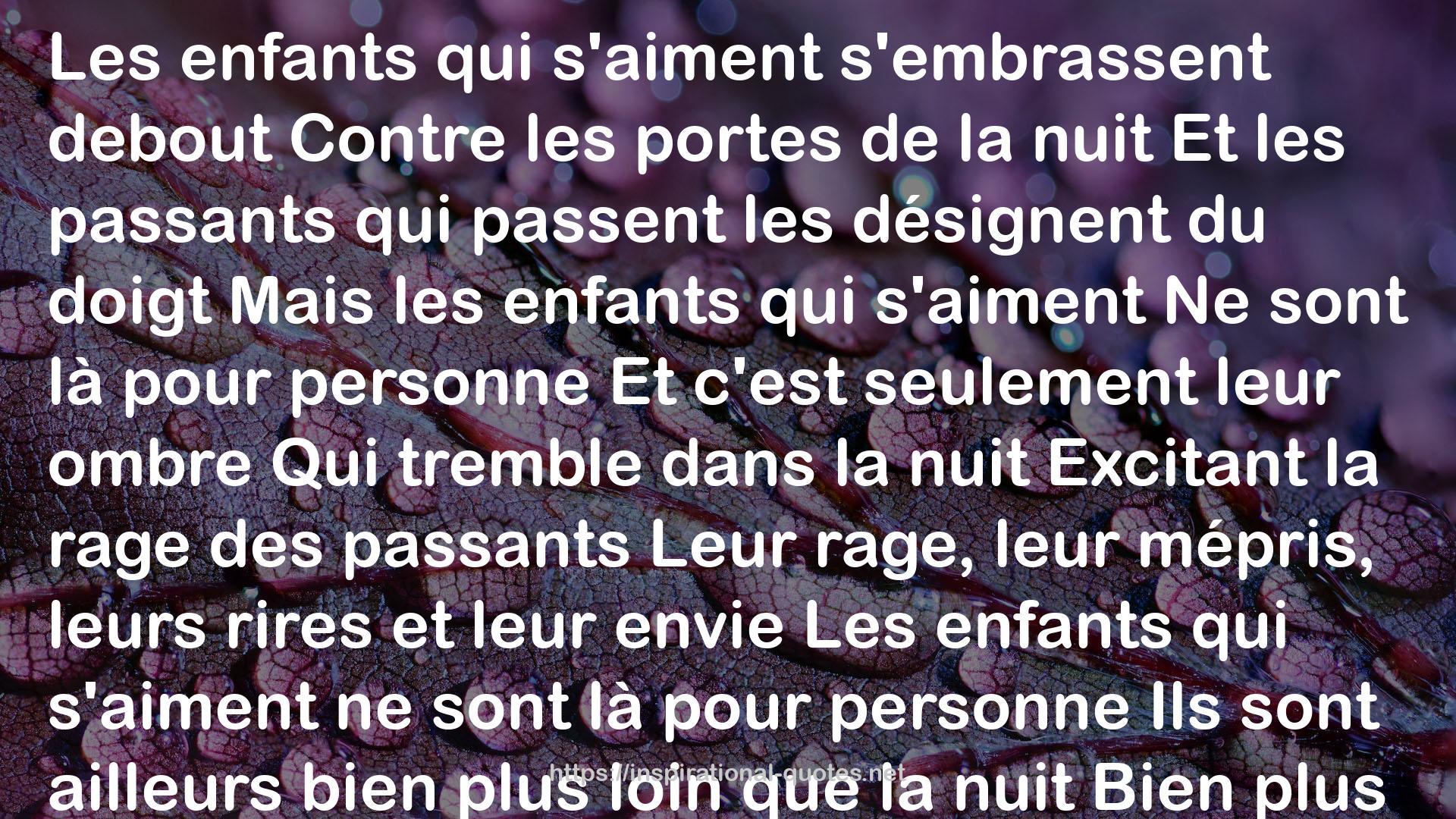 loin  QUOTES