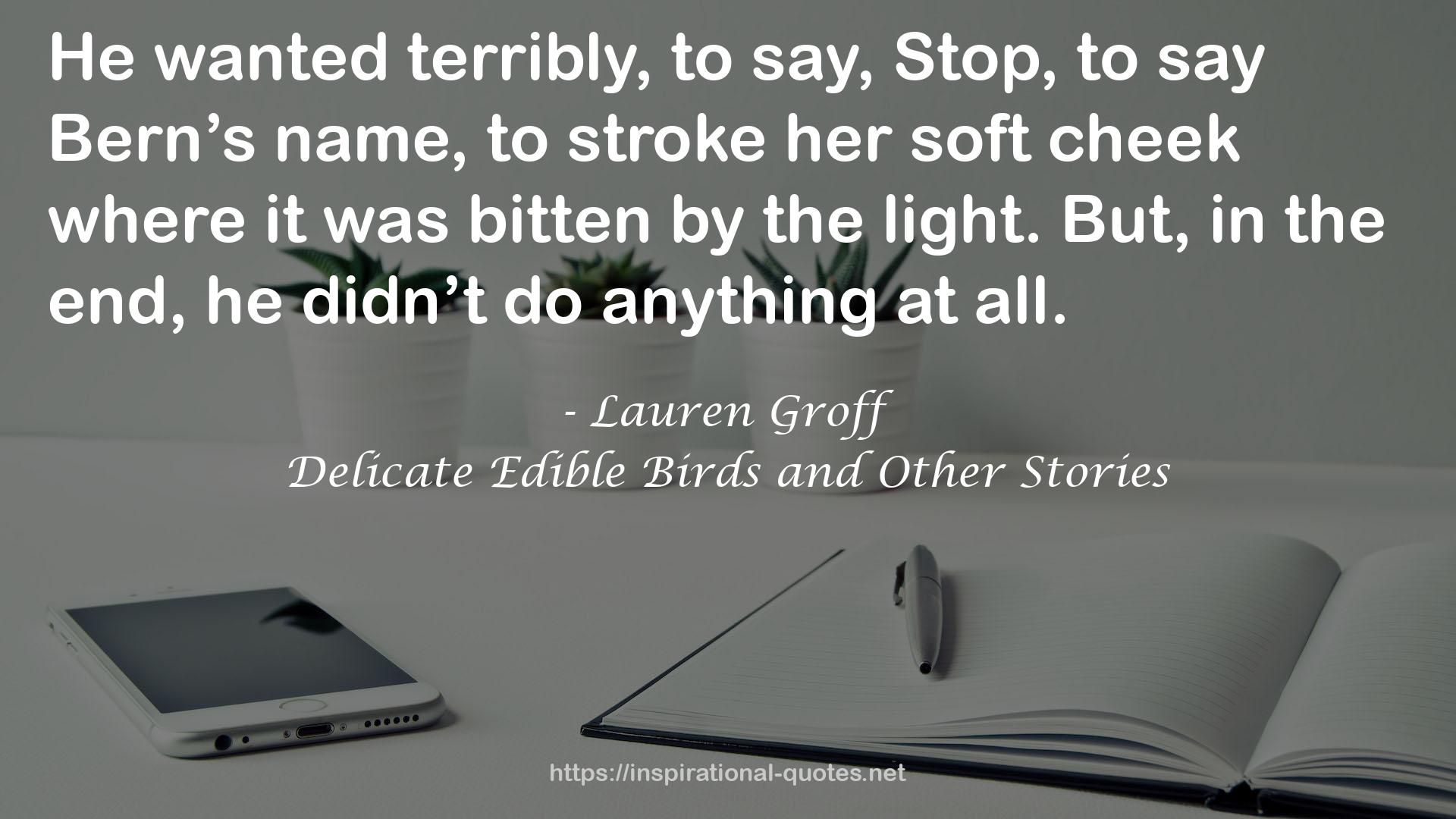 Lauren Groff QUOTES