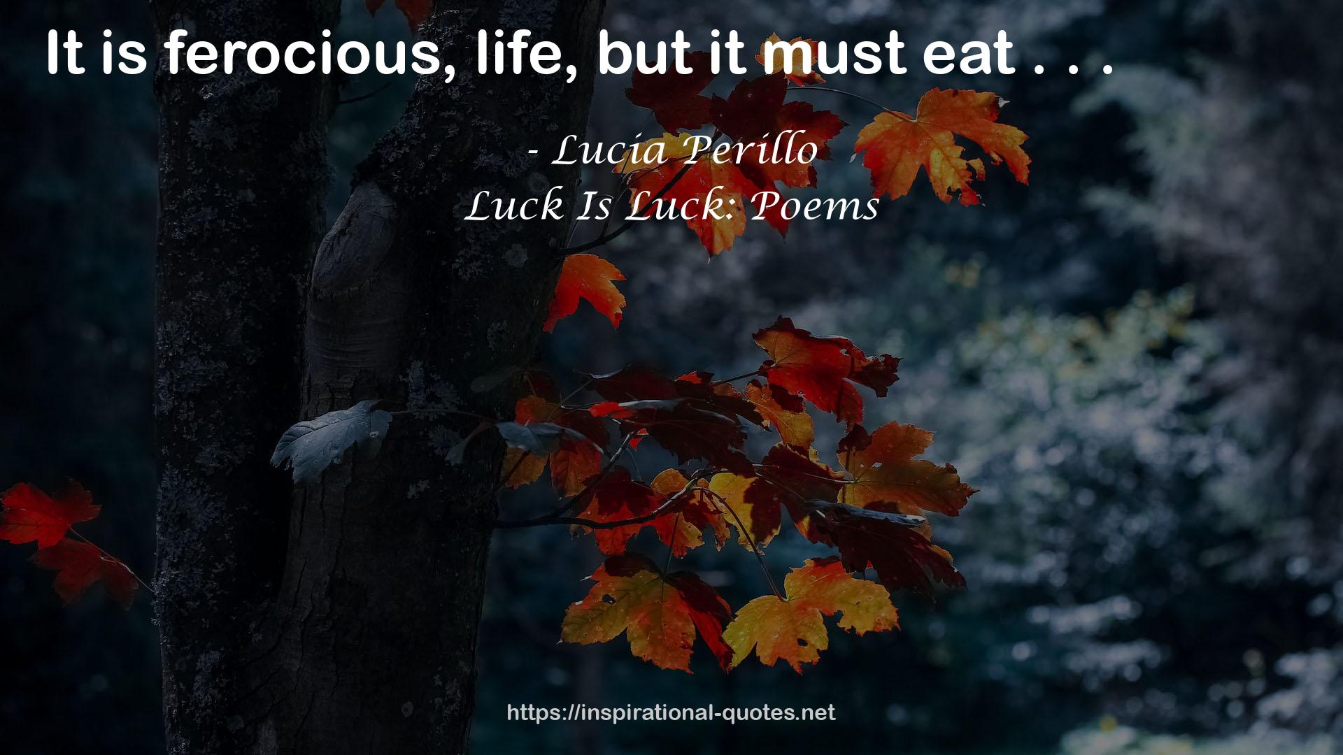 ferocious, life  QUOTES