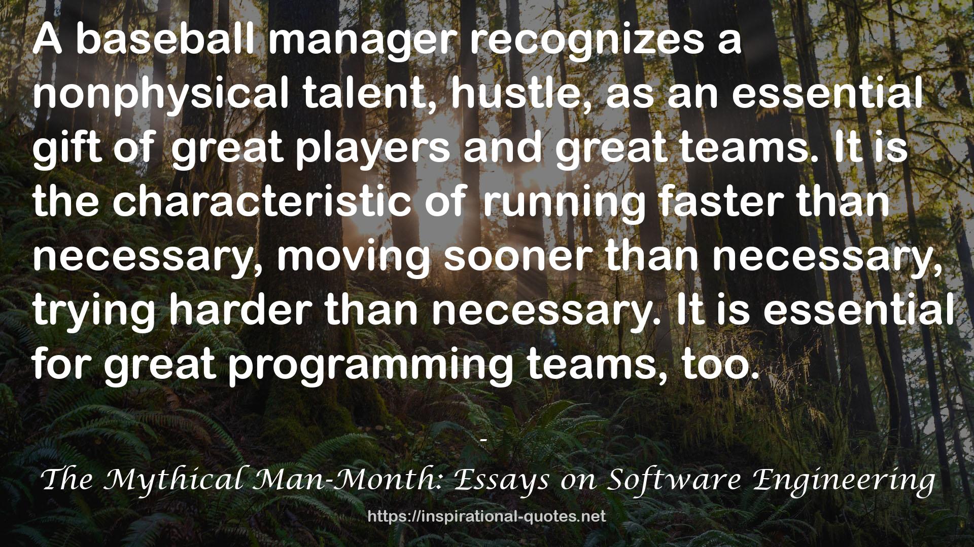 The Mythical Man-Month: Essays on Software Engineering QUOTES