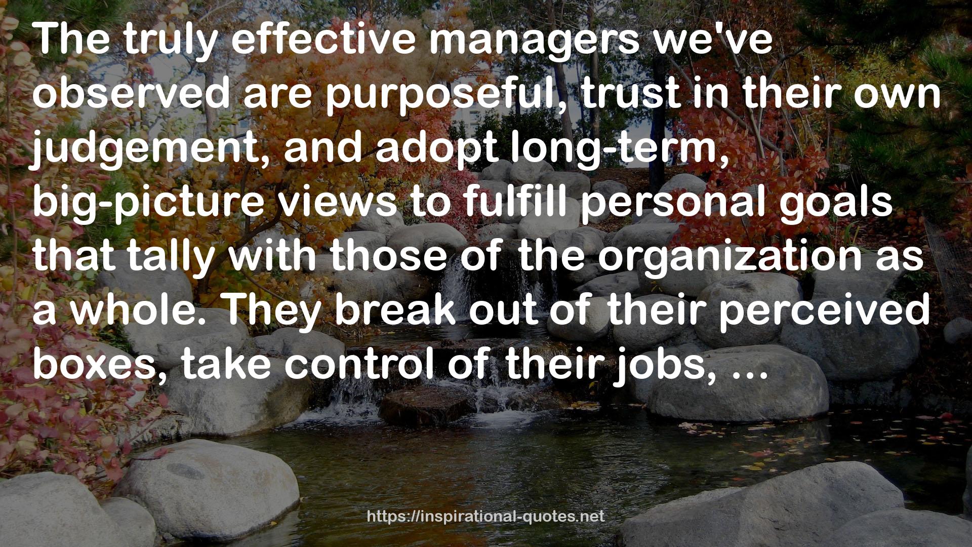 Effective managers  QUOTES