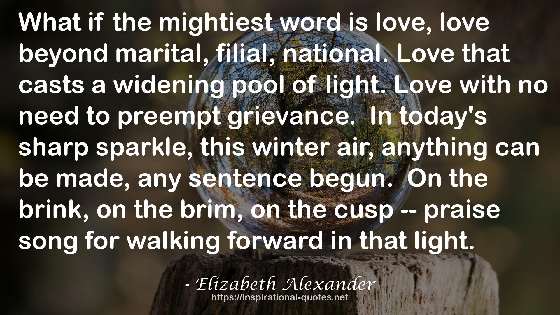 Elizabeth Alexander QUOTES