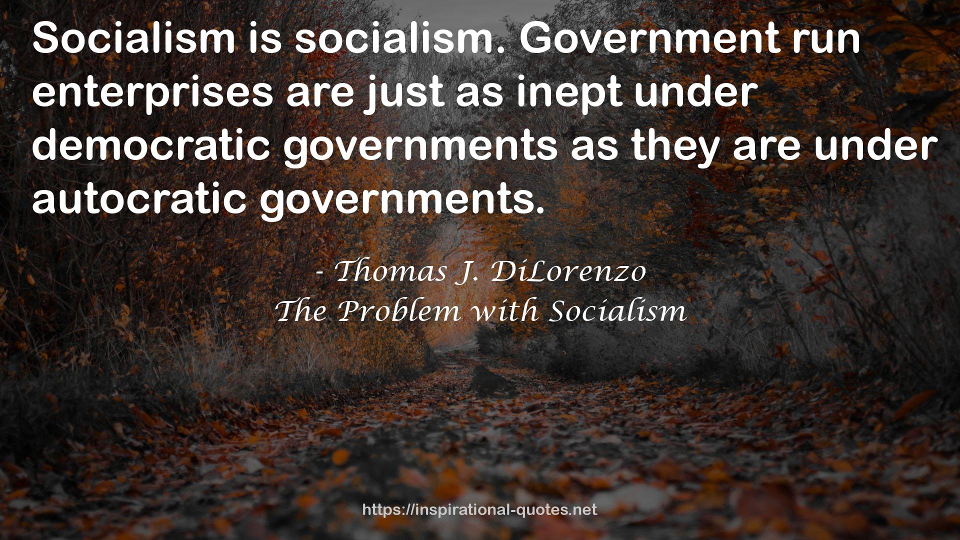 Thomas J. DiLorenzo QUOTES