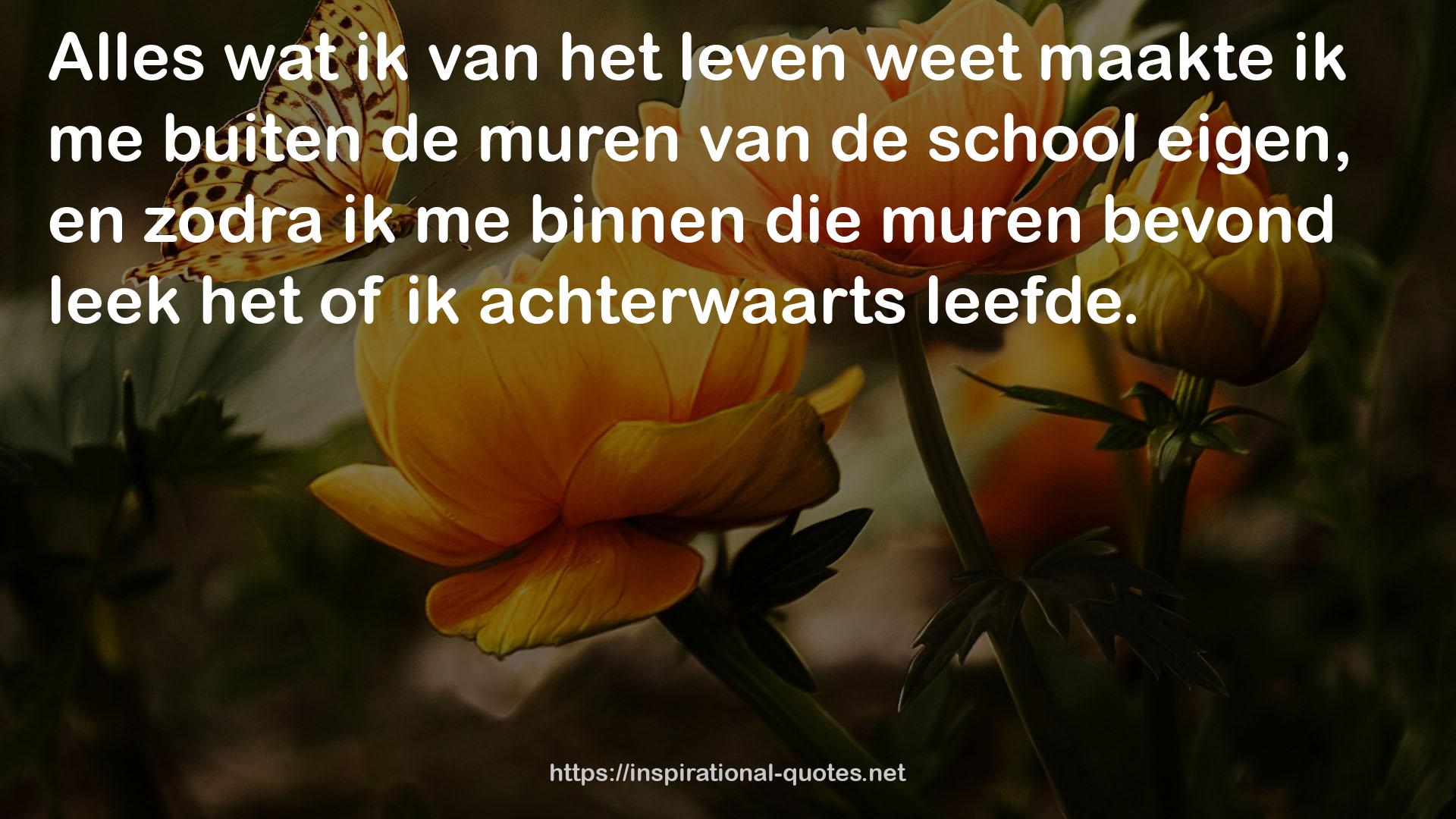 maakte  QUOTES