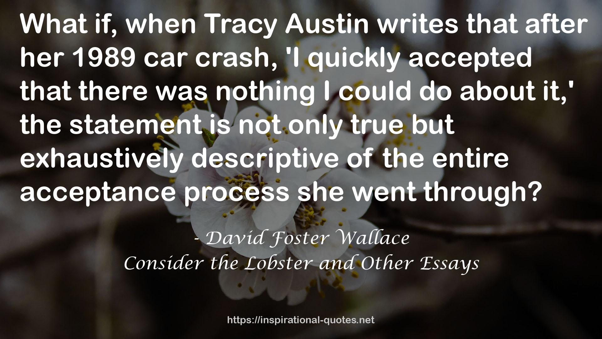 Tracy Austin  QUOTES